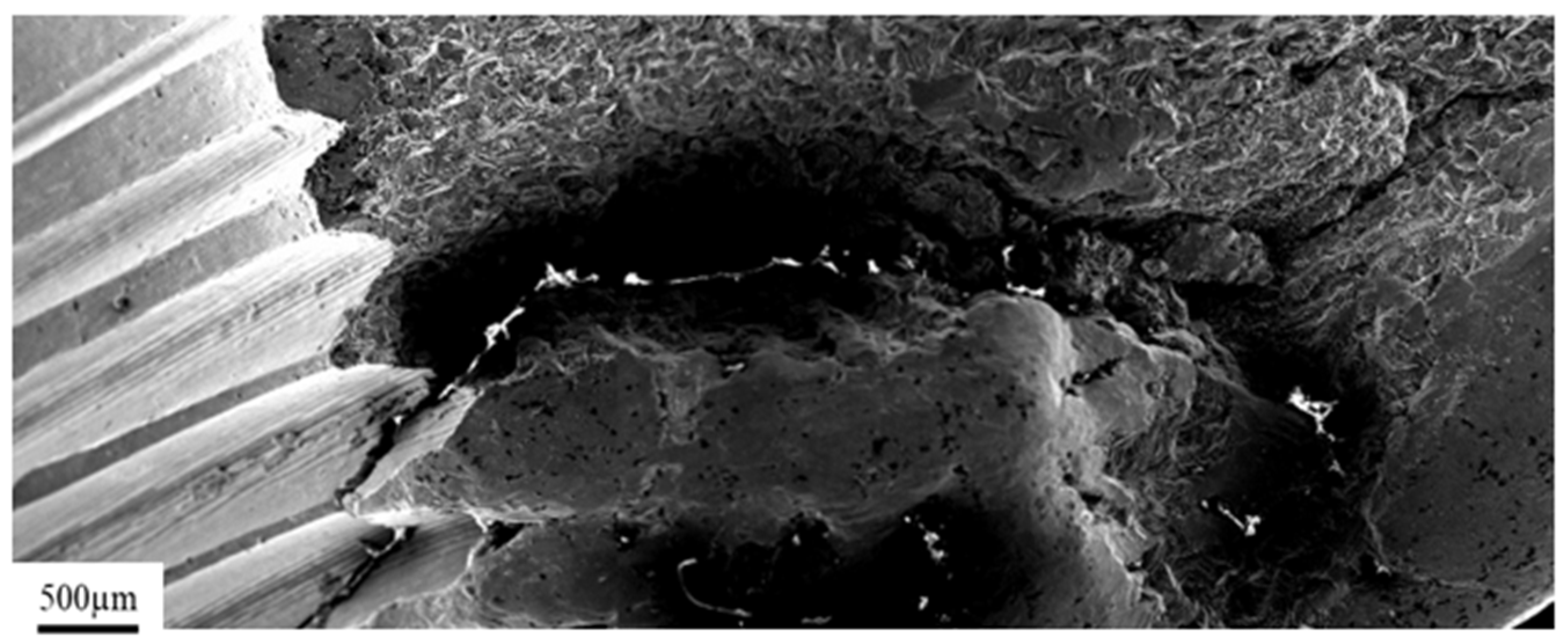 Materials 14 02209 g007 Materials 14 02209 g007