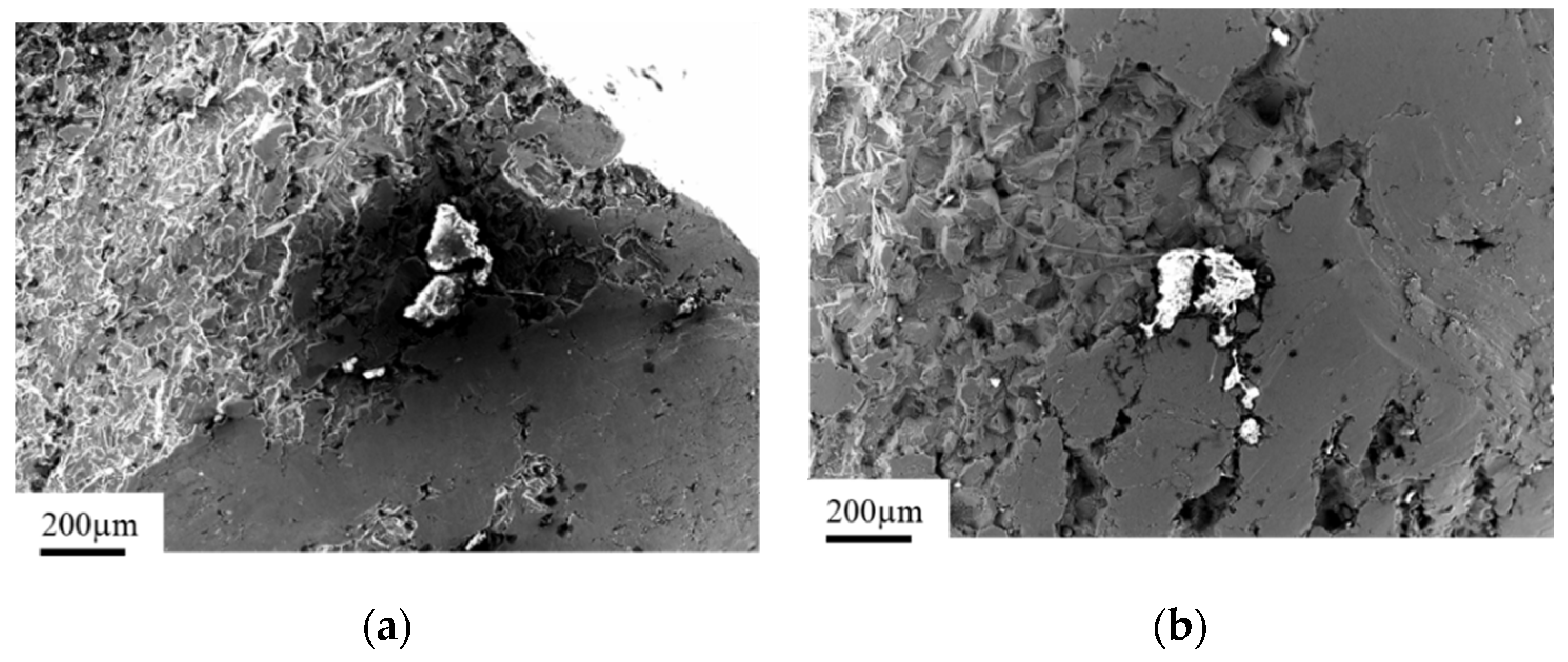 Materials 14 02209 g008 Materials 14 02209 g008