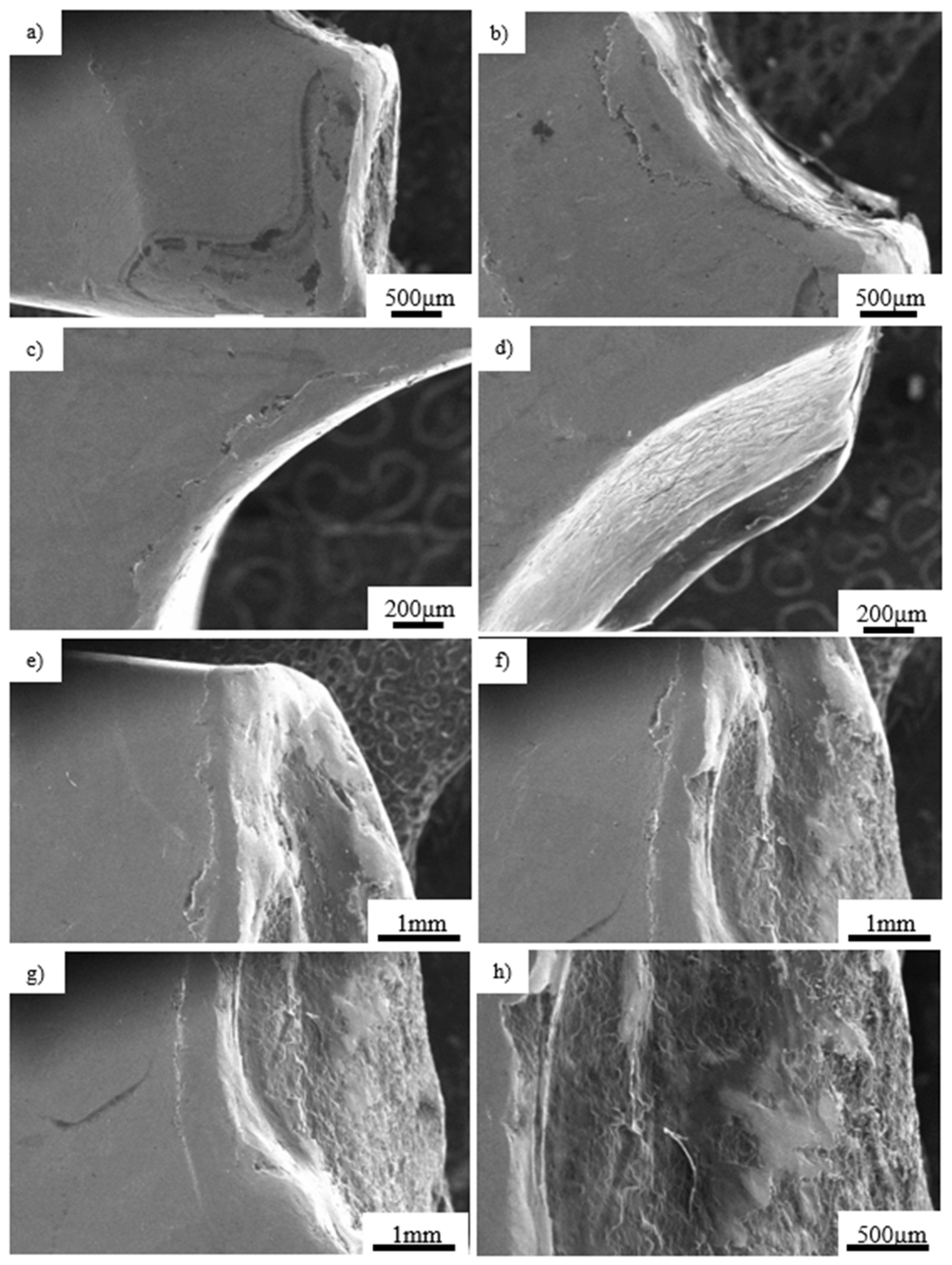 Materials 14 02209 g015 Materials 14 02209 g015