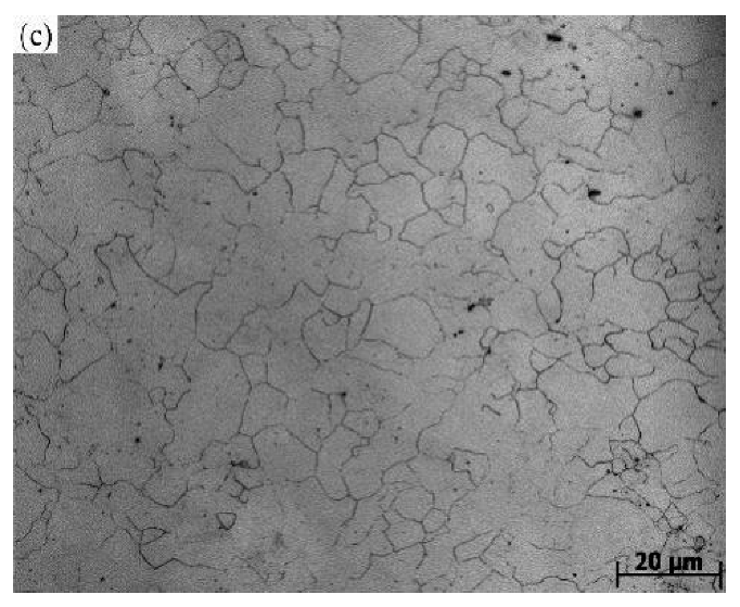 Materials 14 02216 g003b