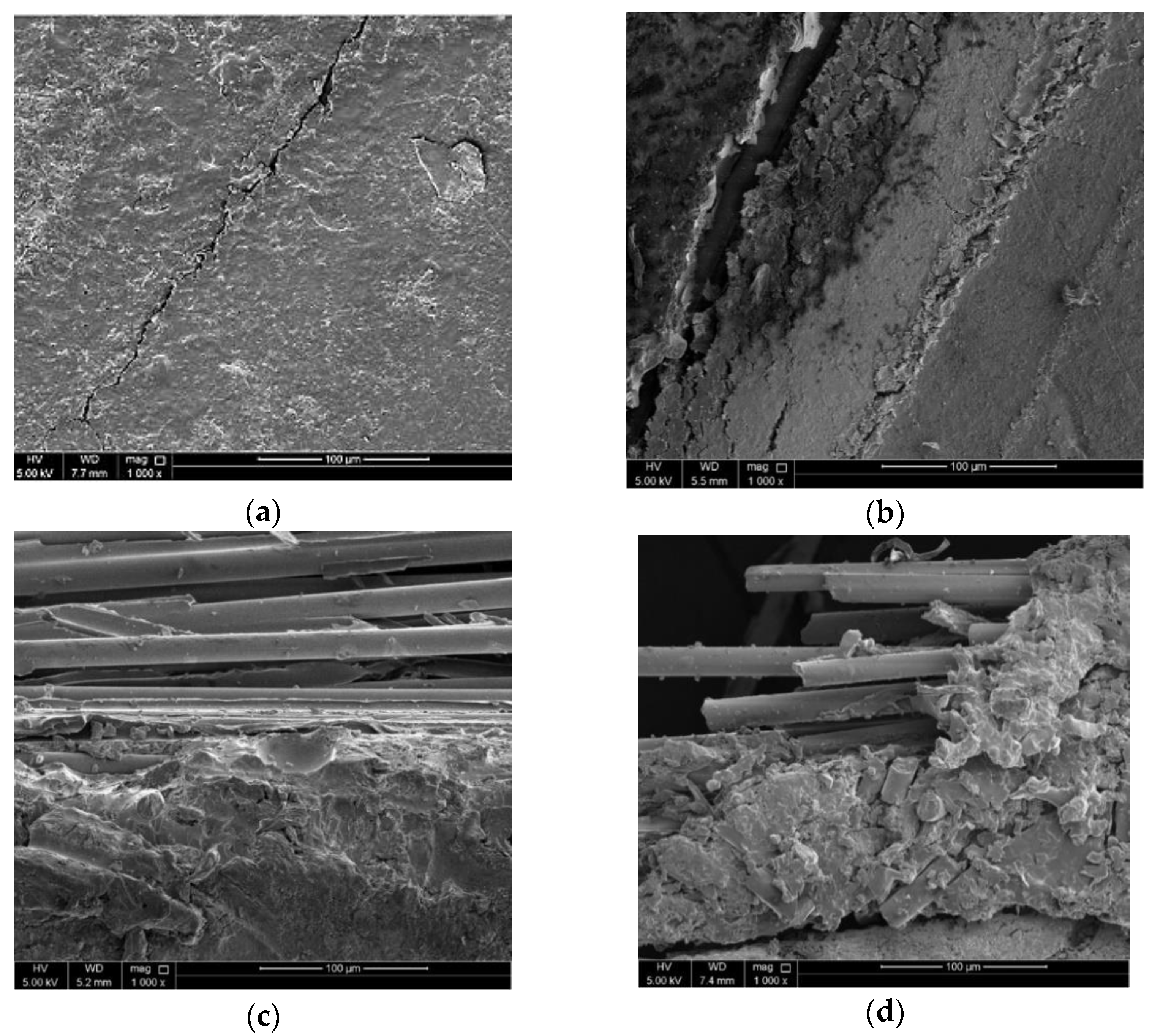 Materials 14 02235 g006 Materials 14 02235 g006