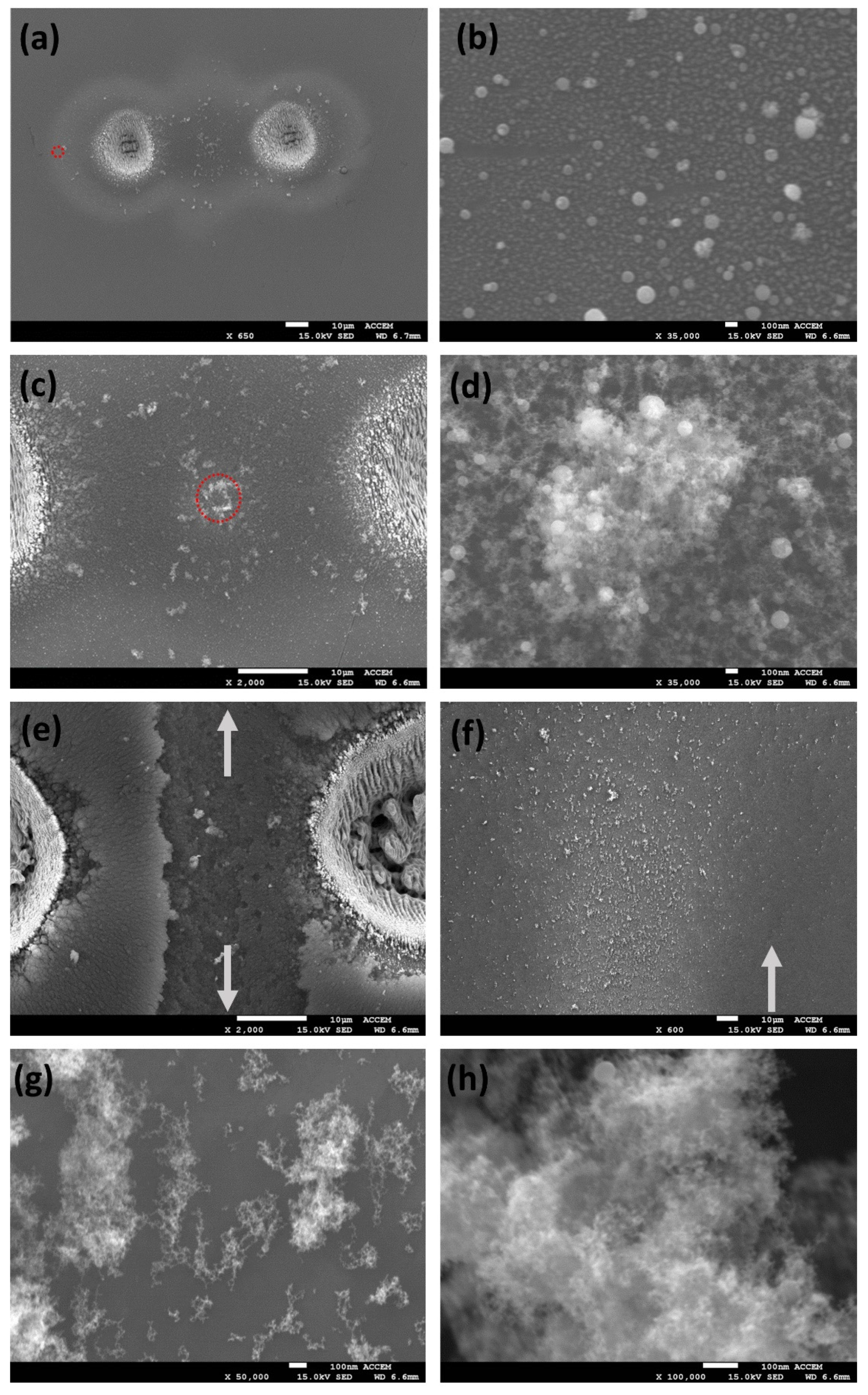 Materials 14 02243 g006 Materials 14 02243 g006