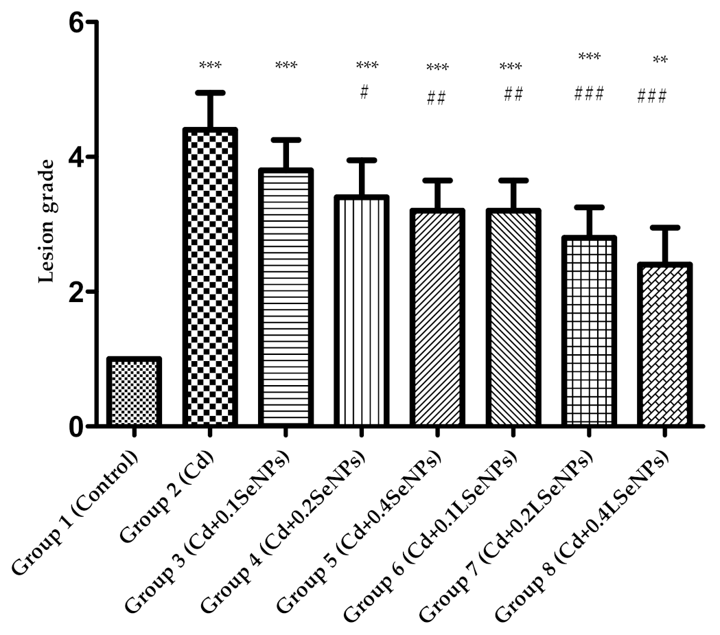 Materials 14 02257 g006