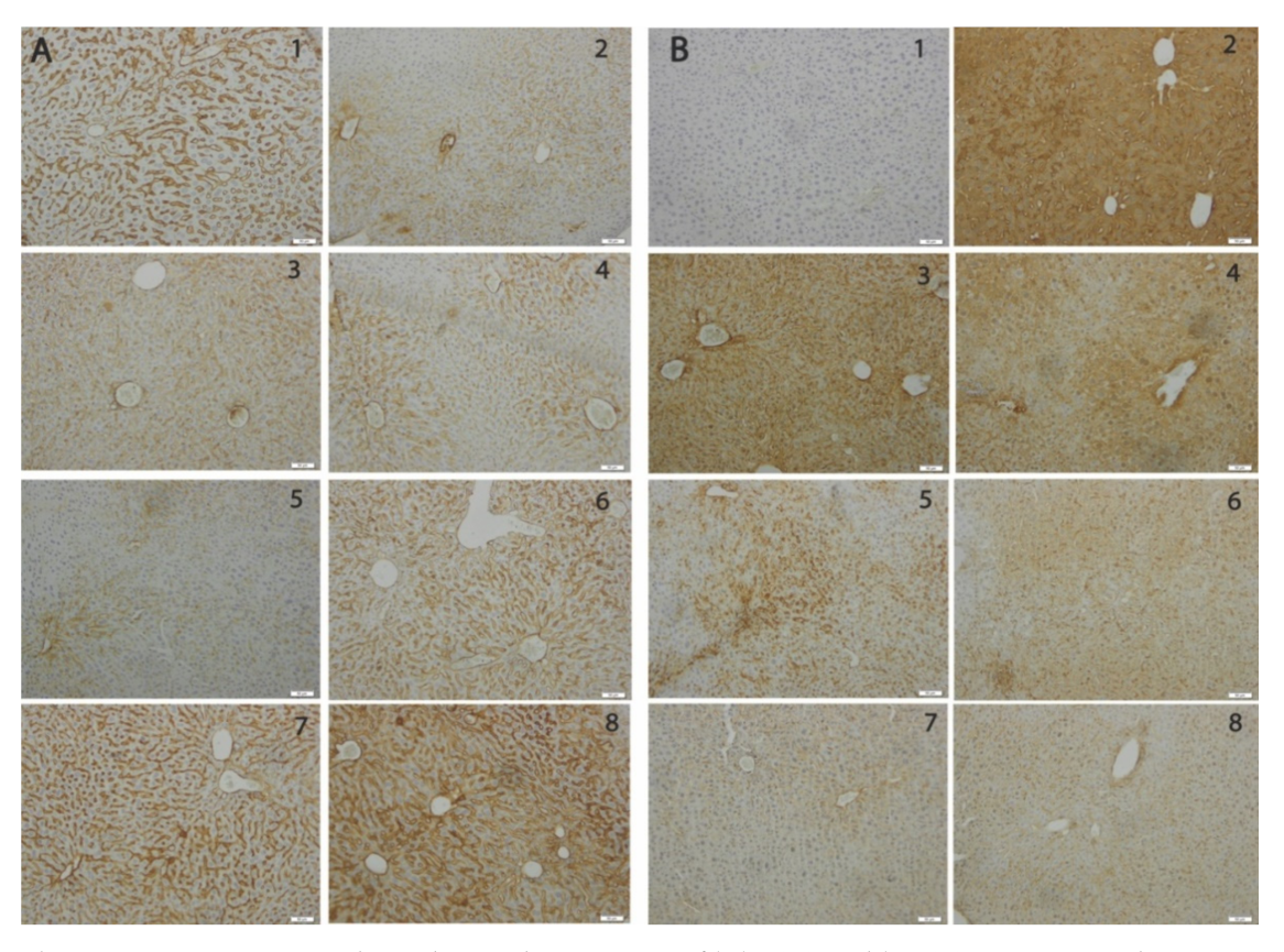 Materials 14 02257 g007