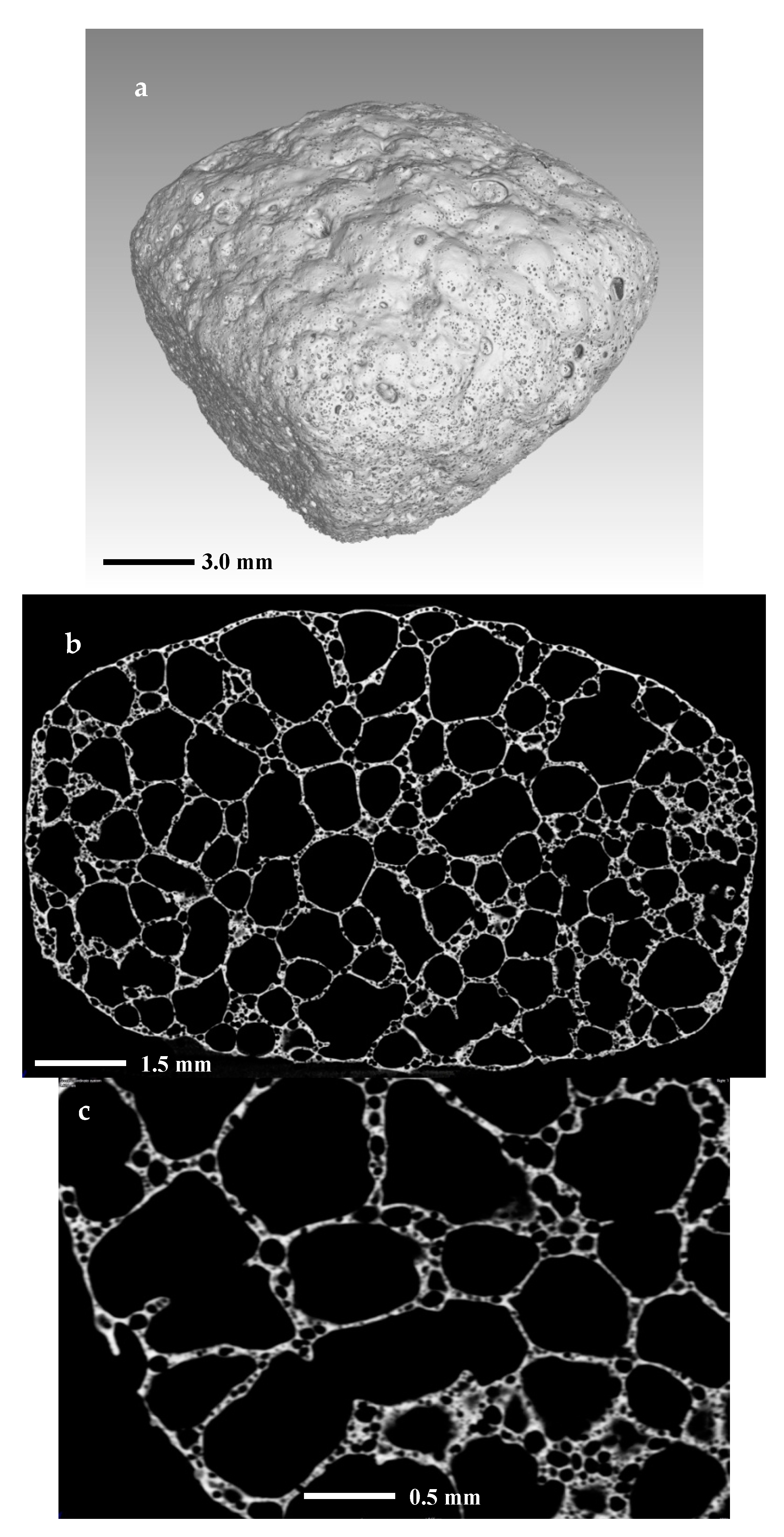 Materials 14 02263 g009