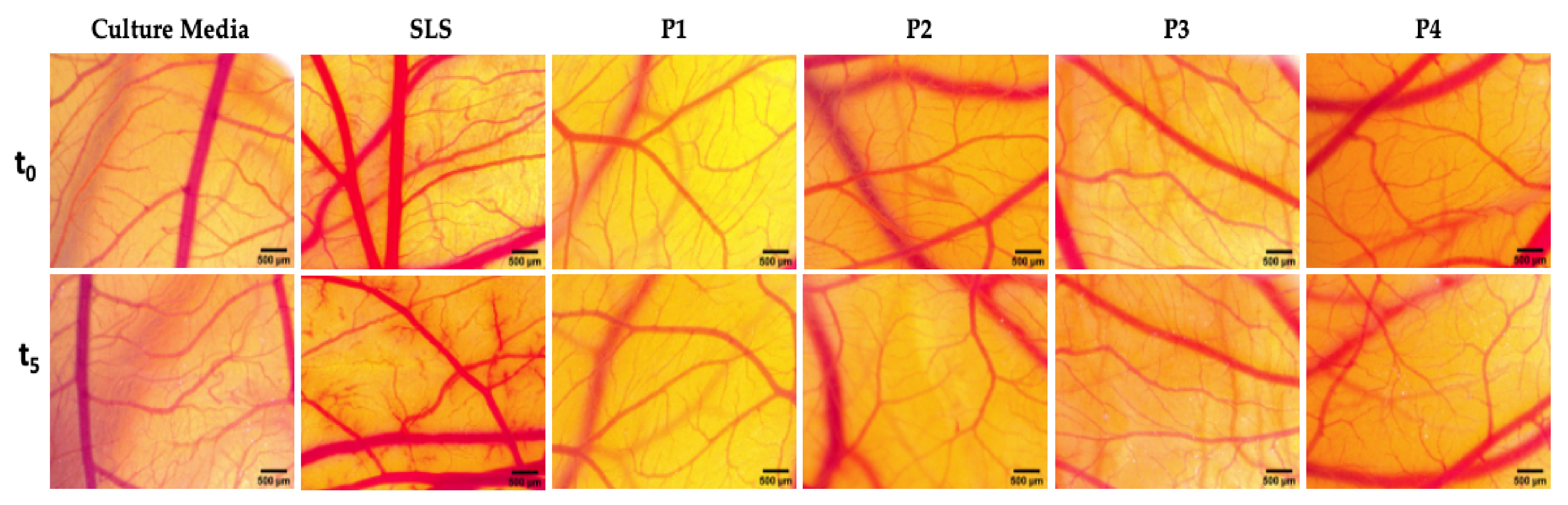 Materials 14 02266 g005 Materials 14 02266 g005