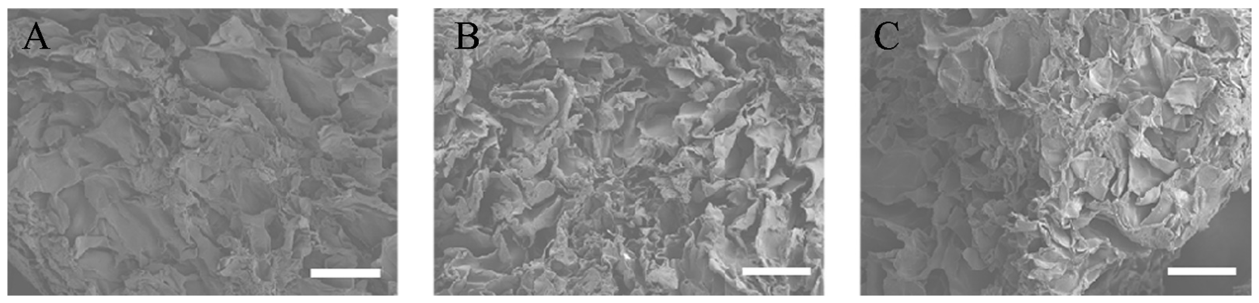 Materials 14 02306 g001 Materials 14 02306 g001