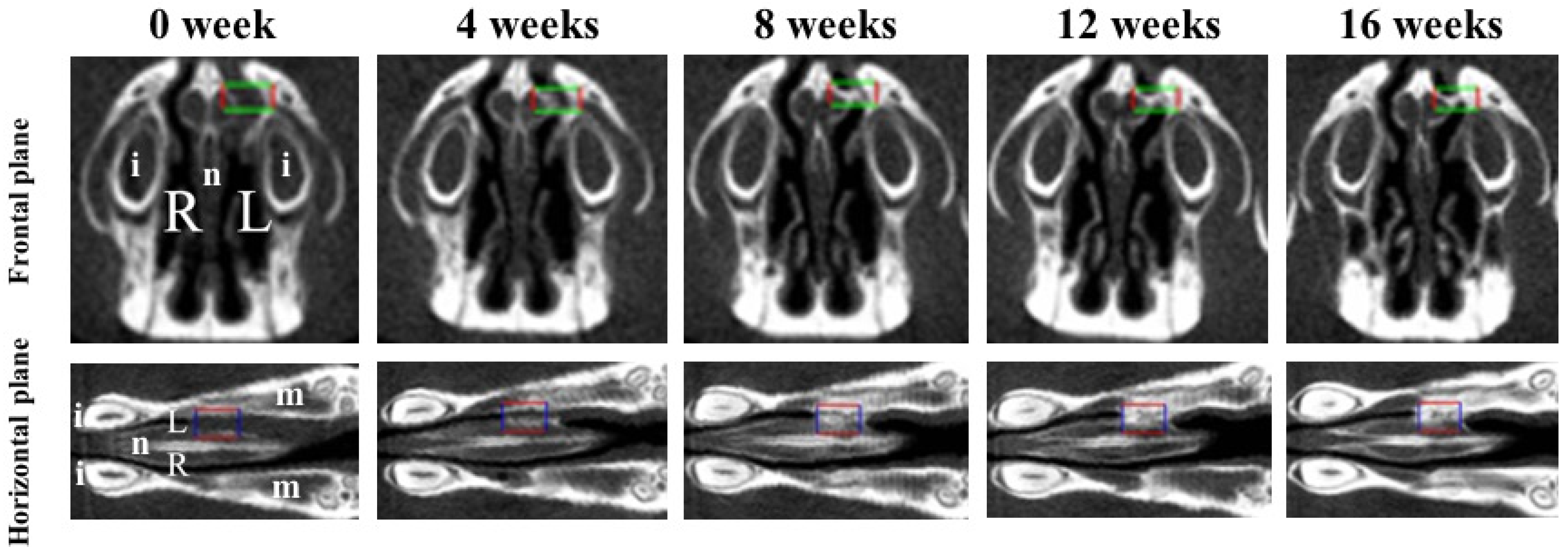 Materials 14 02306 g002 Materials 14 02306 g002