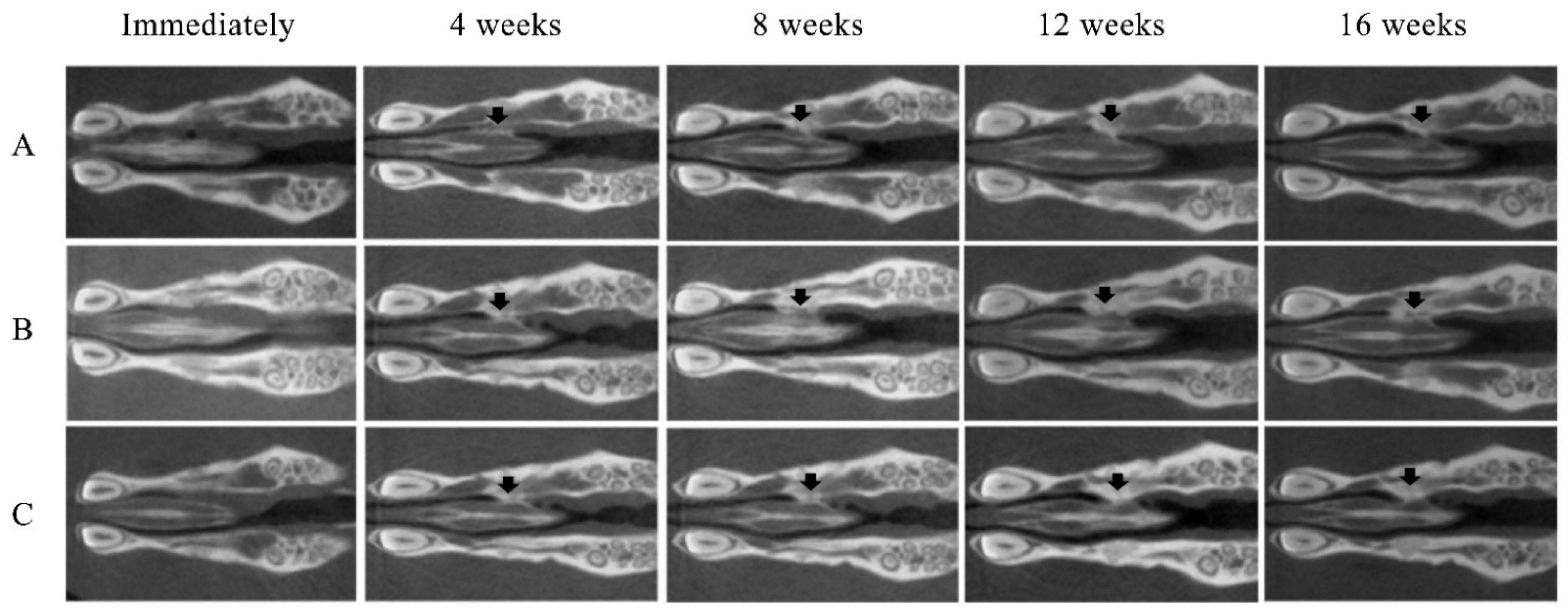 Materials 14 02306 g003 Materials 14 02306 g003