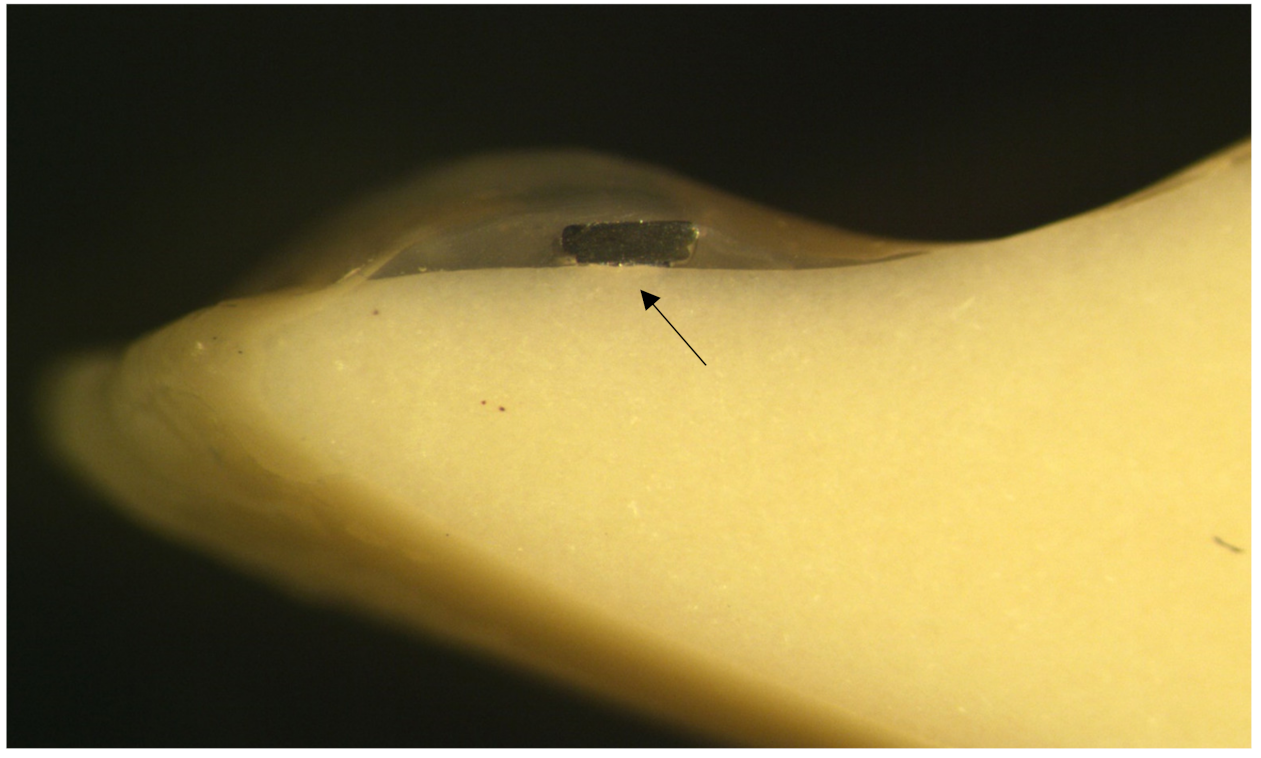 Materials 14 02319 g004 Materials 14 02319 g004