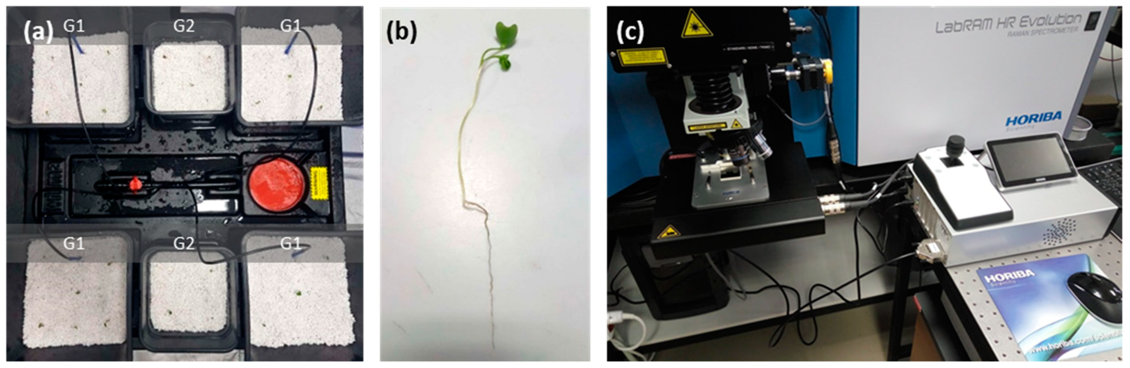 Materials 14 02329 g002