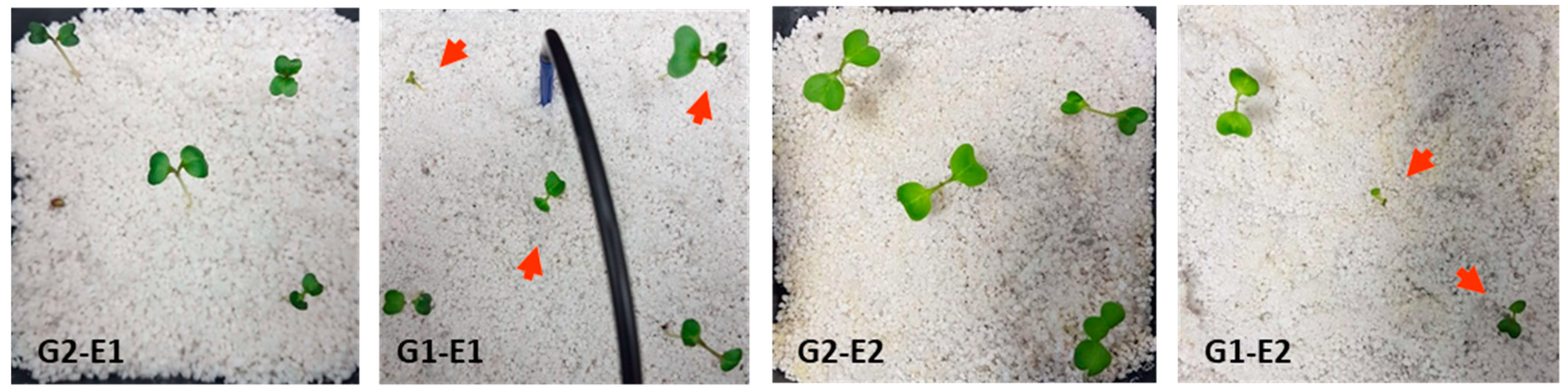 Materials 14 02329 g003