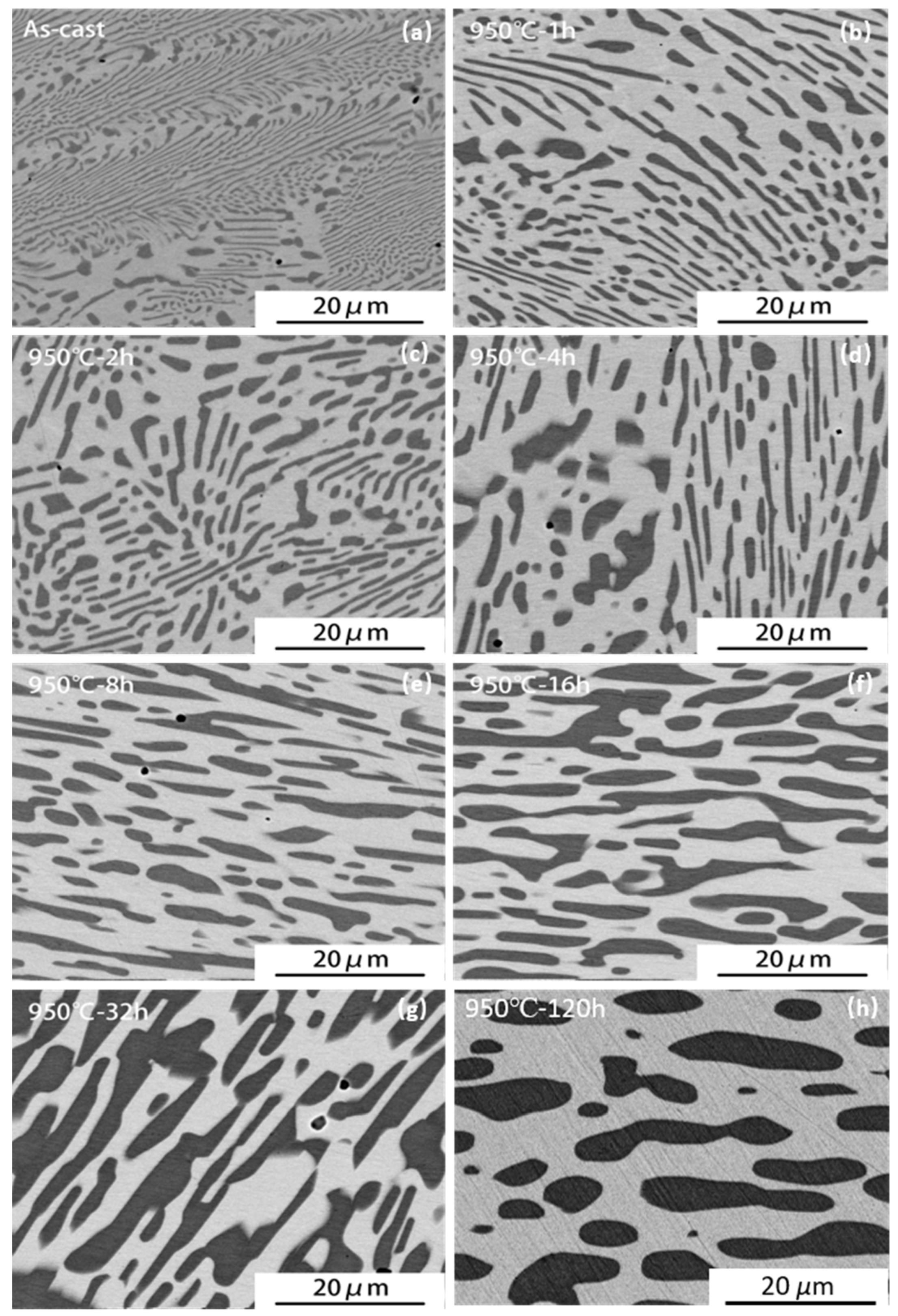 Materials 14 02339 g001