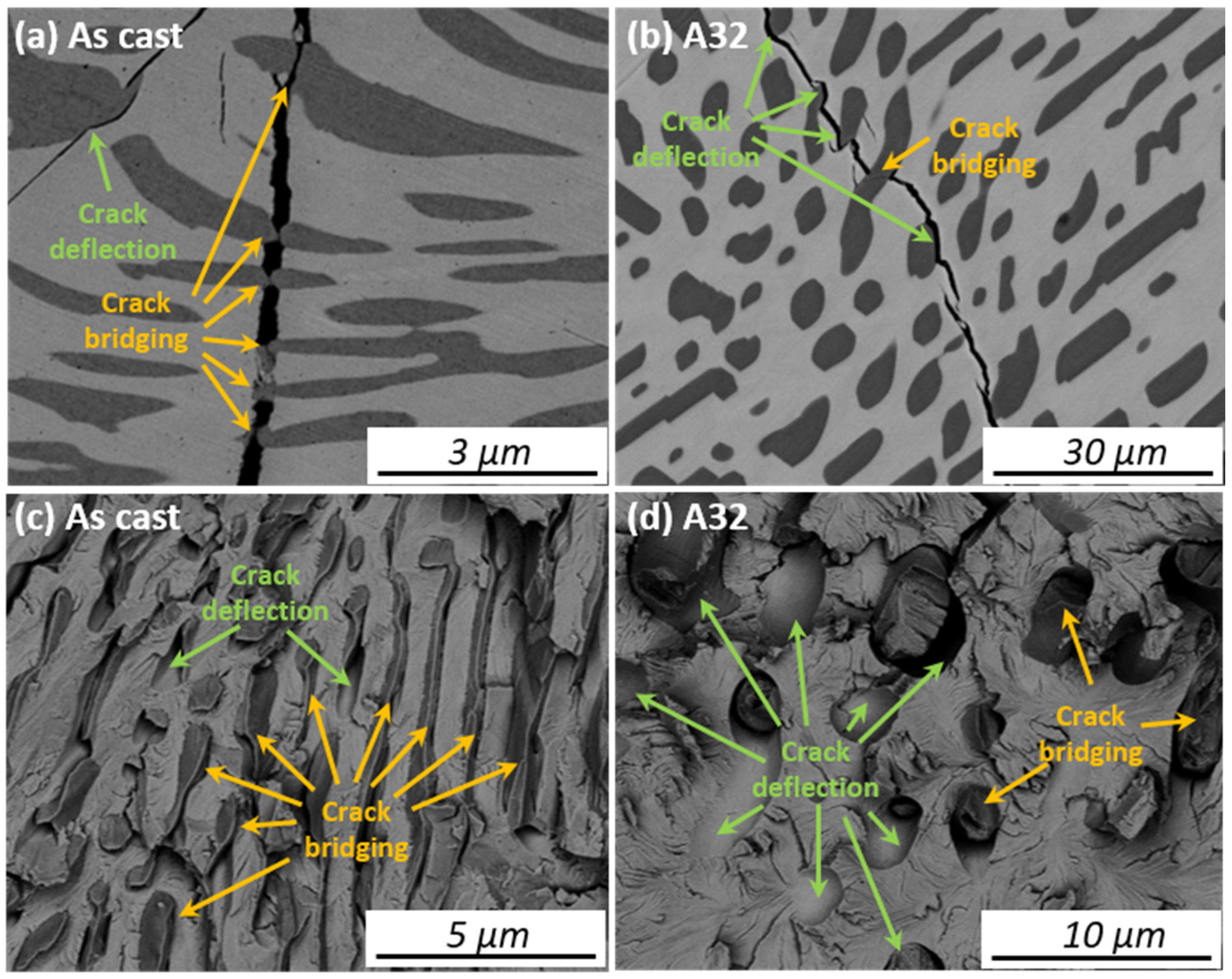 Materials 14 02339 g008