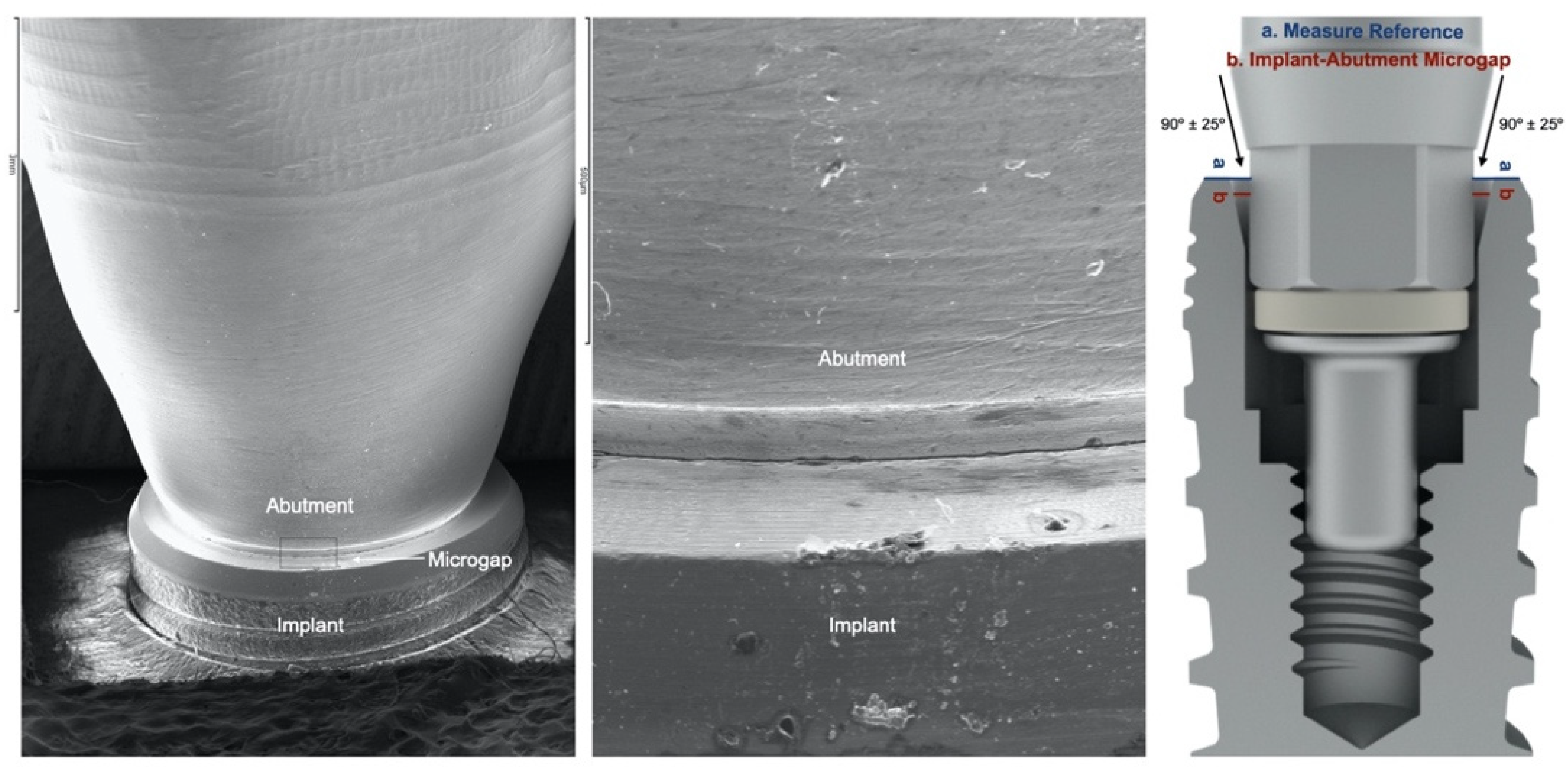 Materials 14 02348 g002