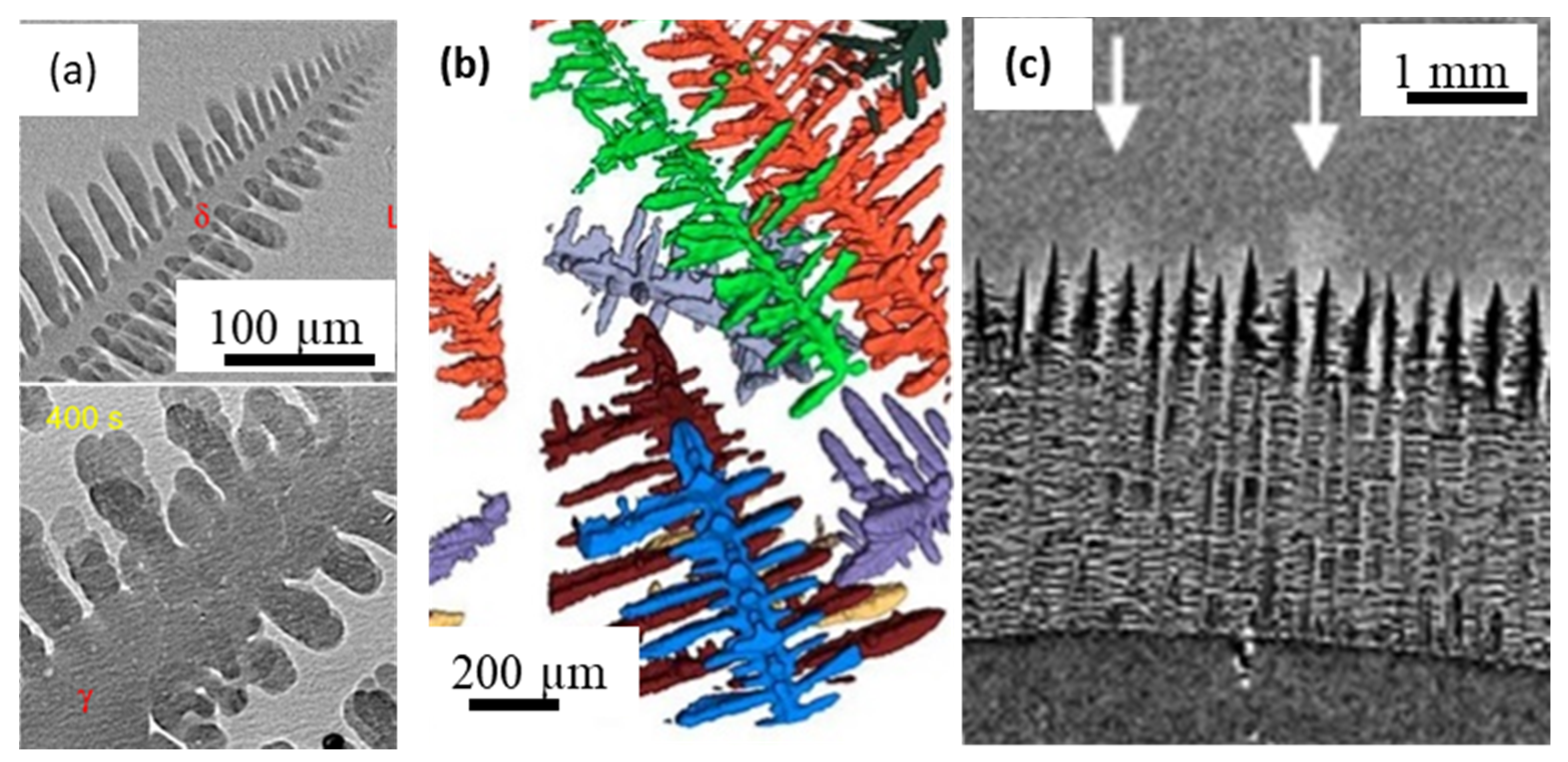 Materials 14 02374 g007 Materials 14 02374 g007