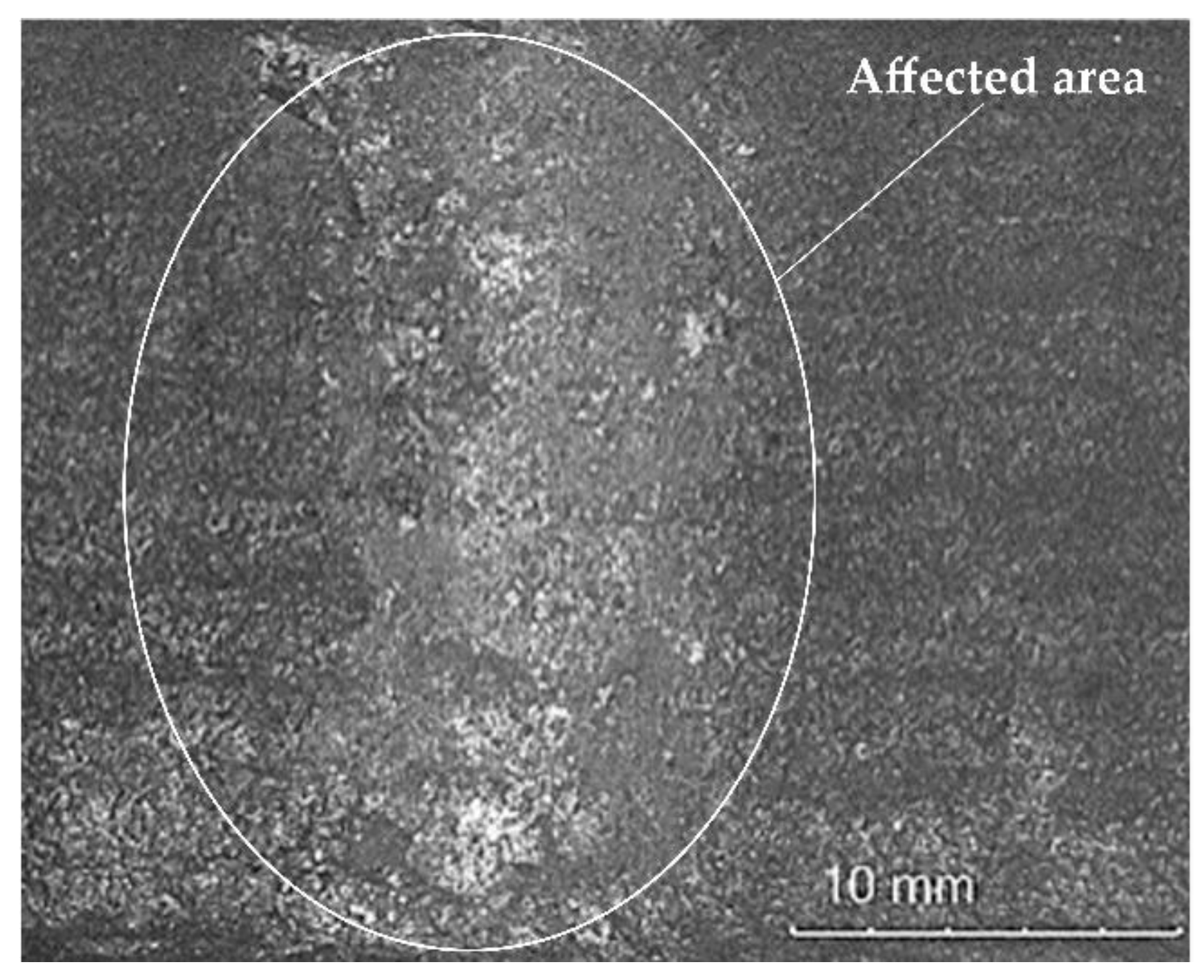Materials 14 02382 g017