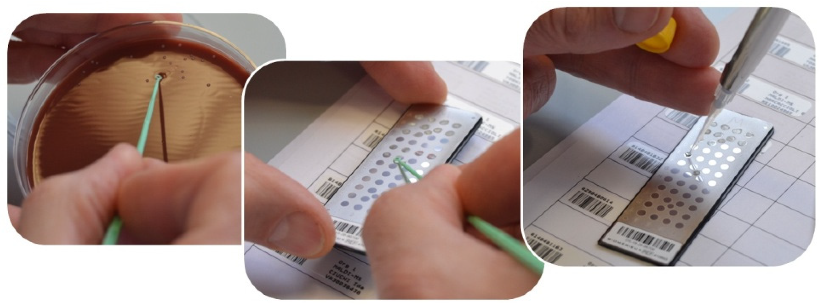 Materials 14 02387 g003 Materials 14 02387 g003