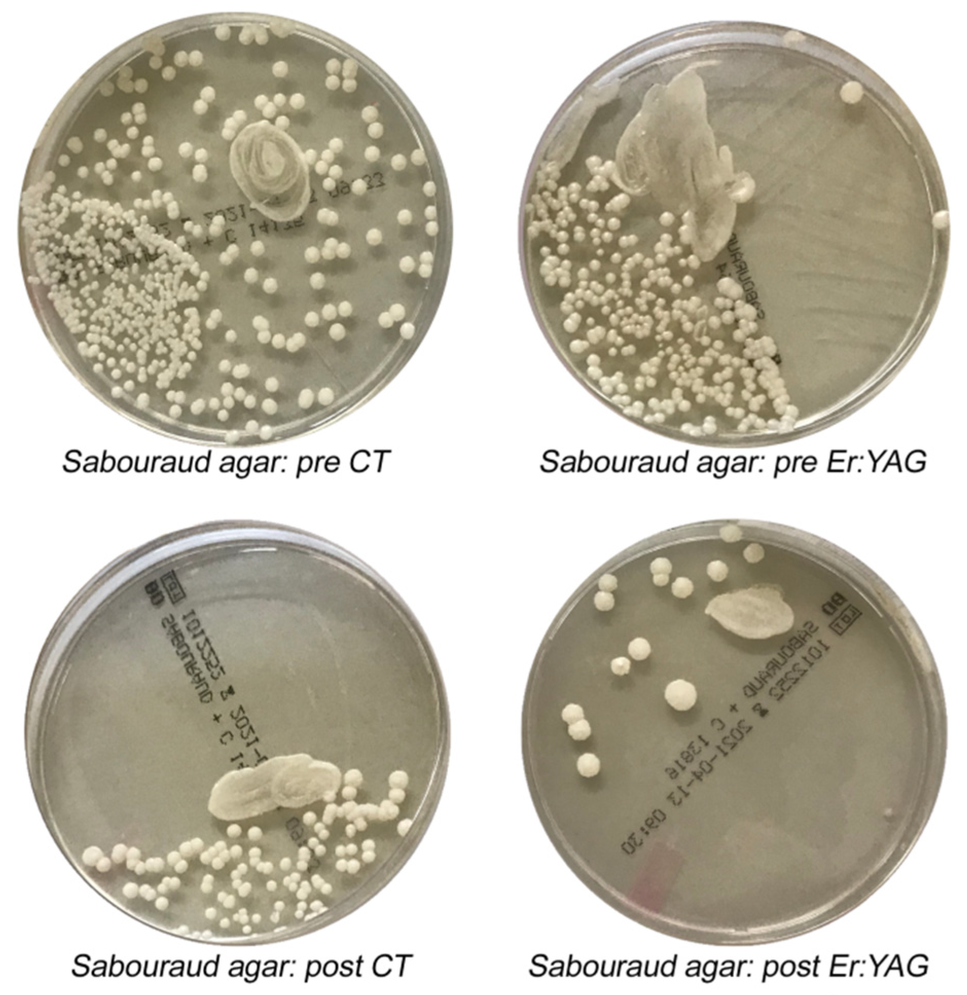 Materials 14 02387 g005 Materials 14 02387 g005