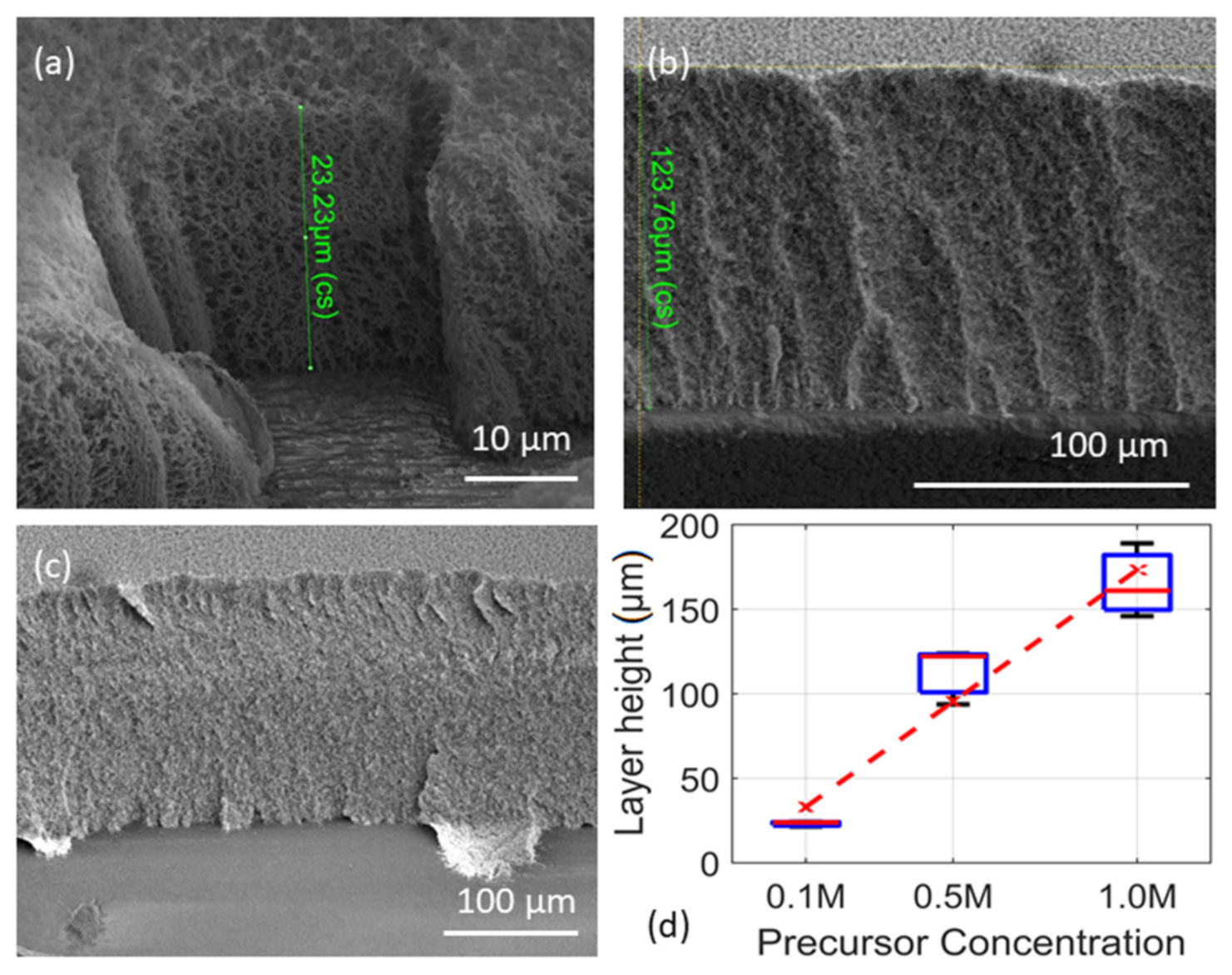 Materials 14 02395 g002