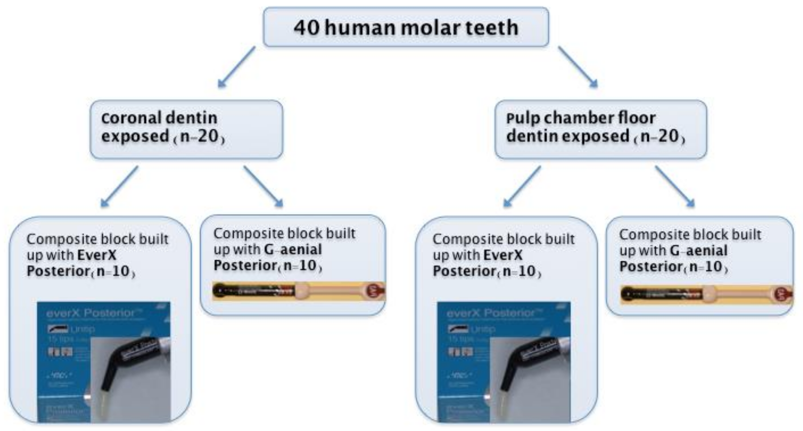 Materials 14 02400 g001 Materials 14 02400 g001