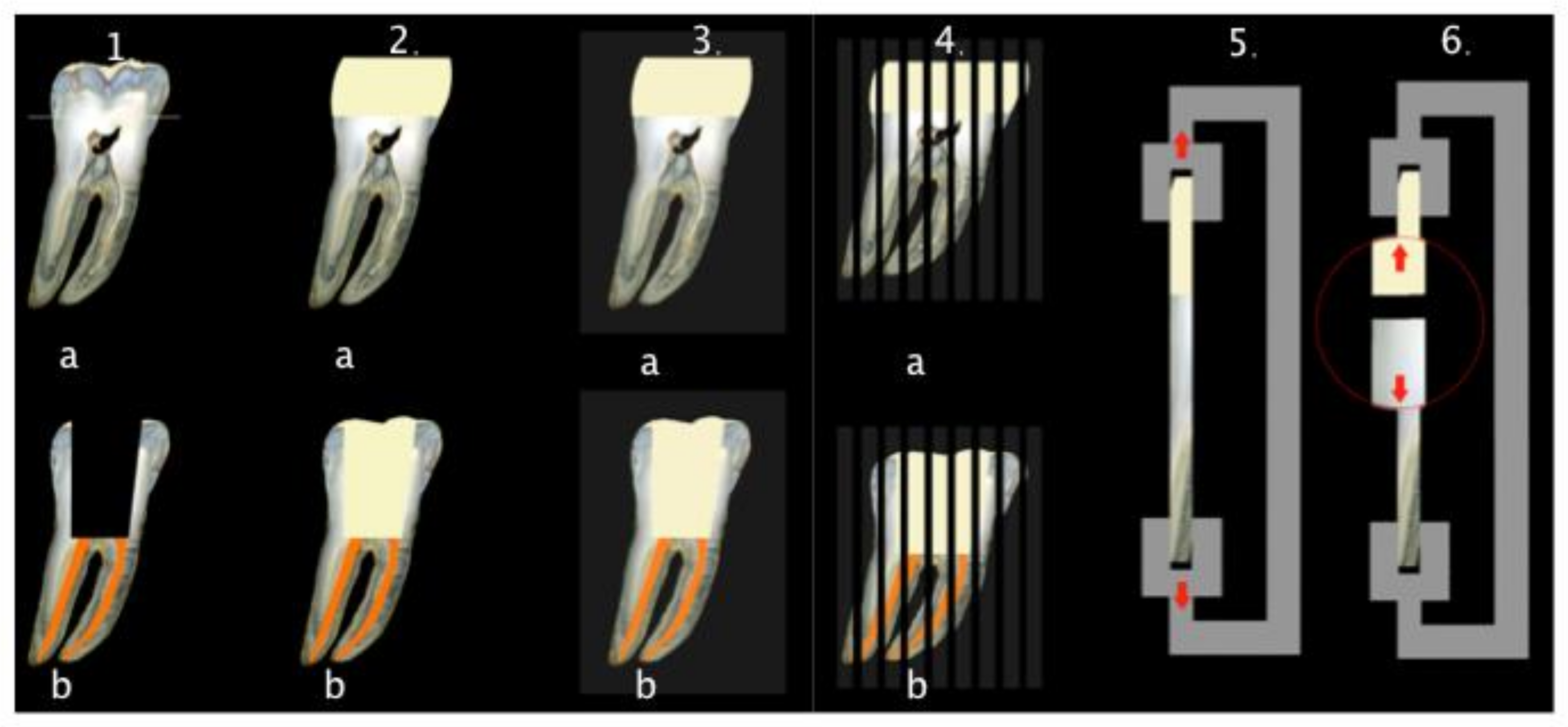 Materials 14 02400 g002 Materials 14 02400 g002
