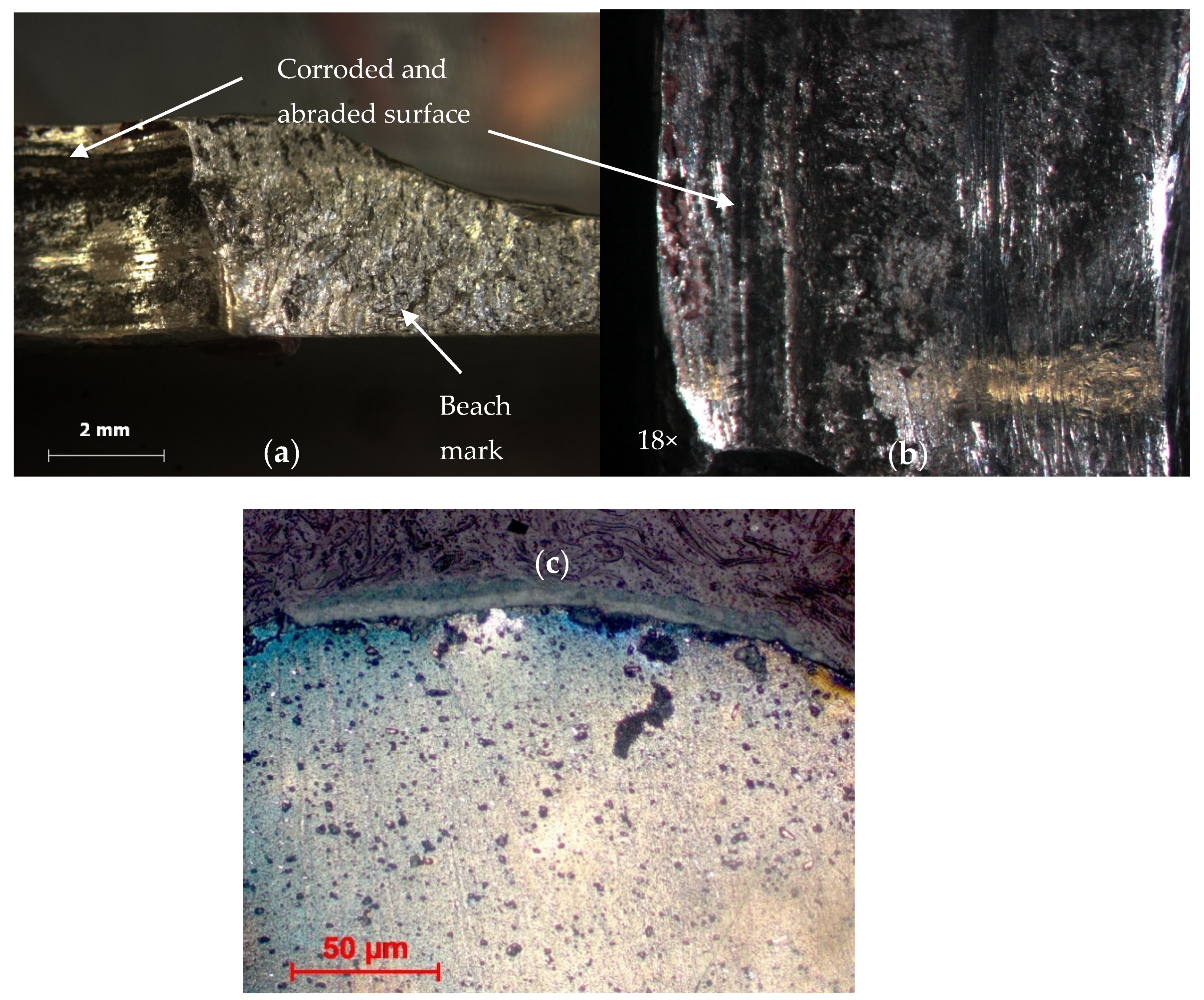 Materials 14 02414 g009