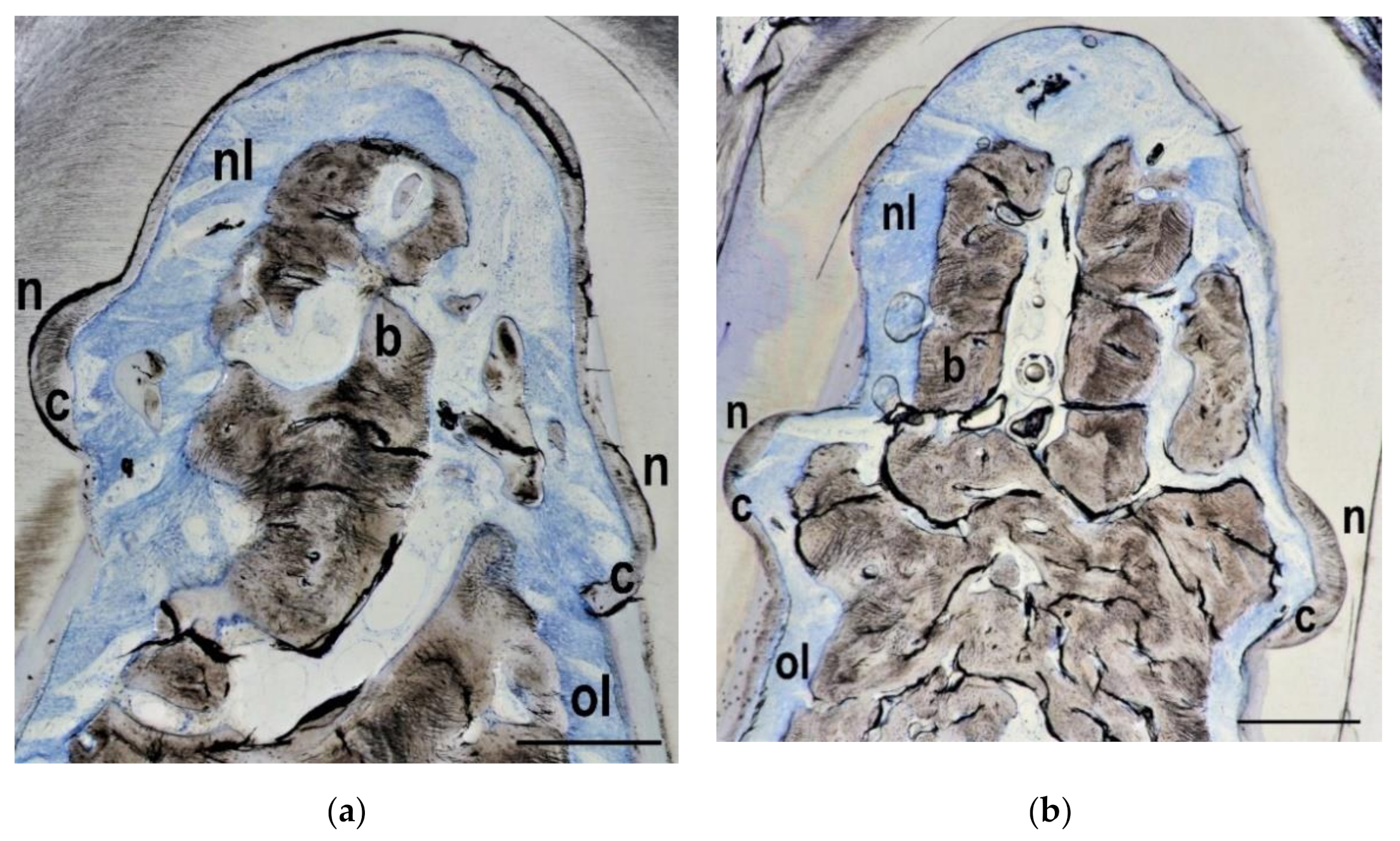 Materials 14 02420 g003 Materials 14 02420 g003