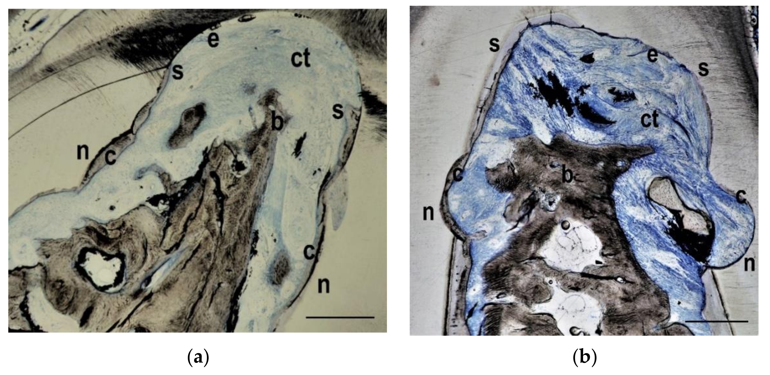Materials 14 02420 g005 Materials 14 02420 g005