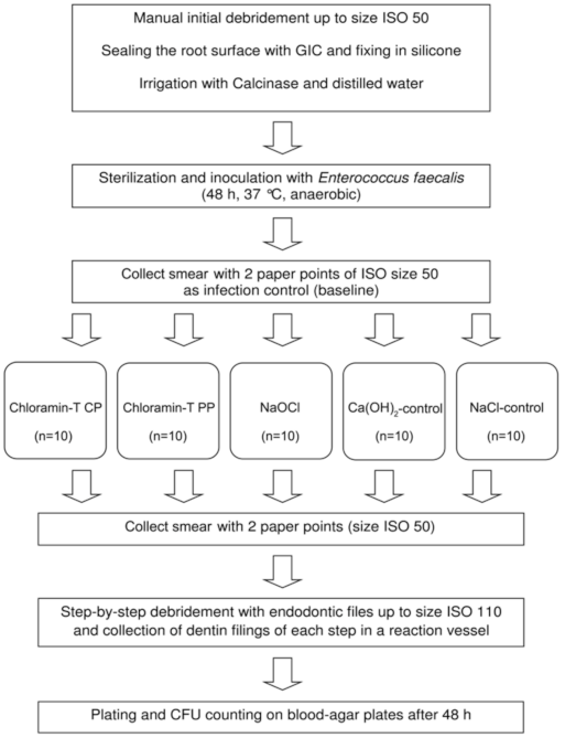 Materials 14 02427 g002