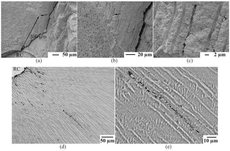 Materials 14 02427 g003