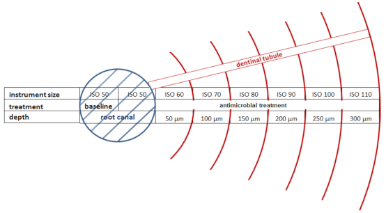 Materials 14 02427 g005