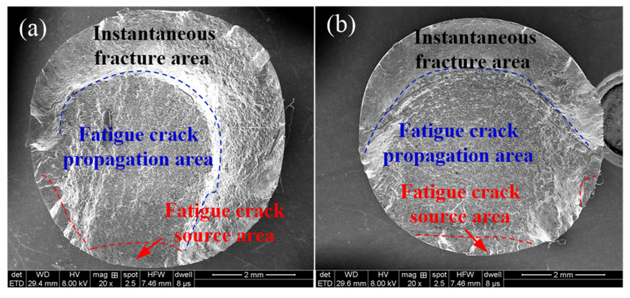 Materials 14 02428 g007