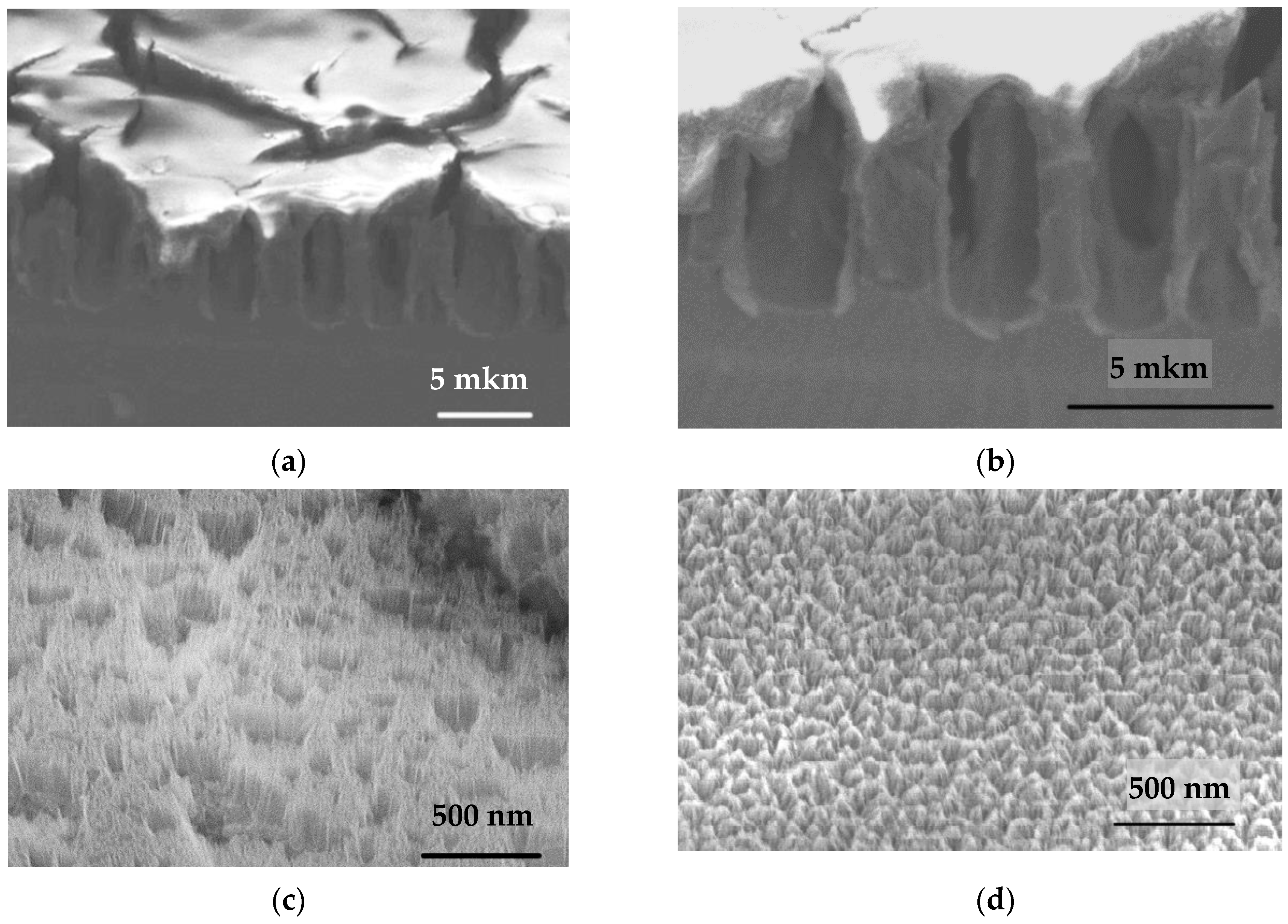 Materials 14 02471 g001a