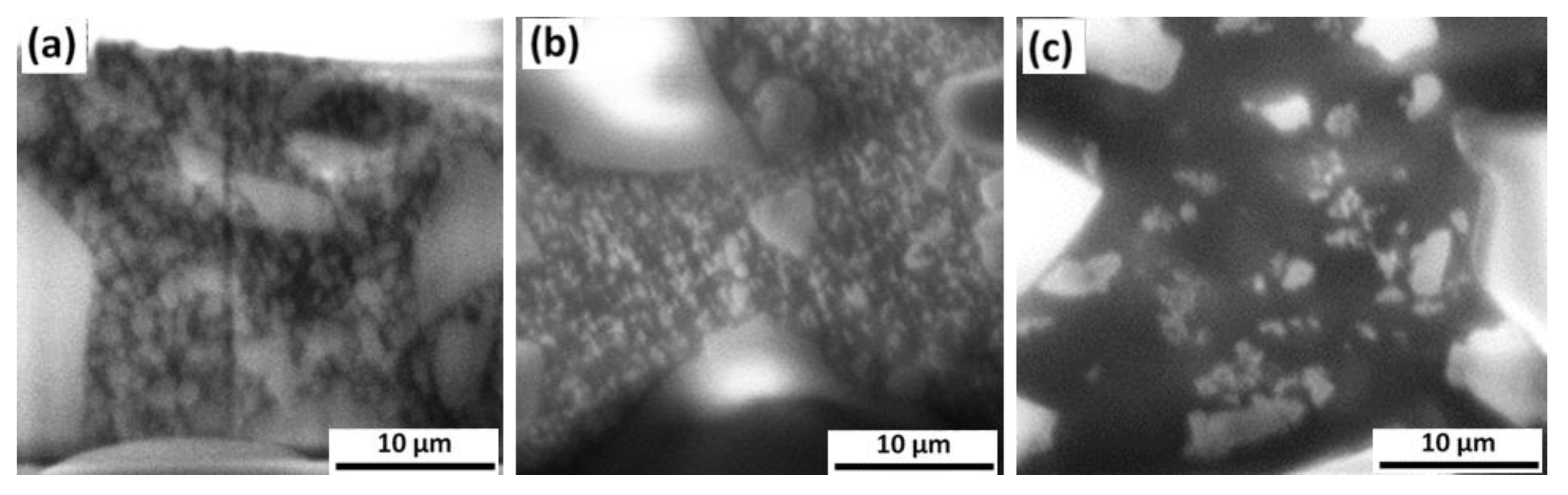 Materials 14 02485 g003