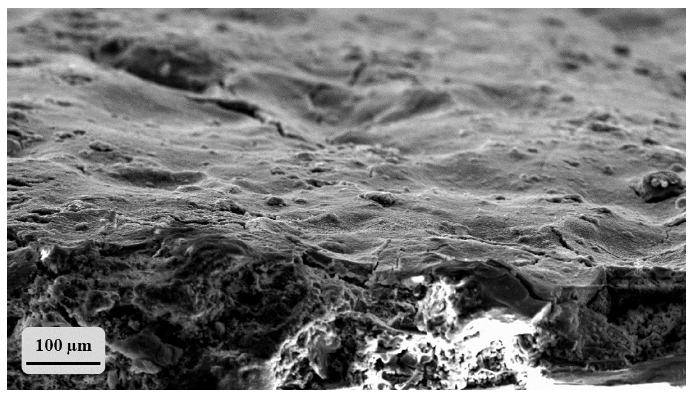 Materials 14 02513 g006 Materials 14 02513 g006