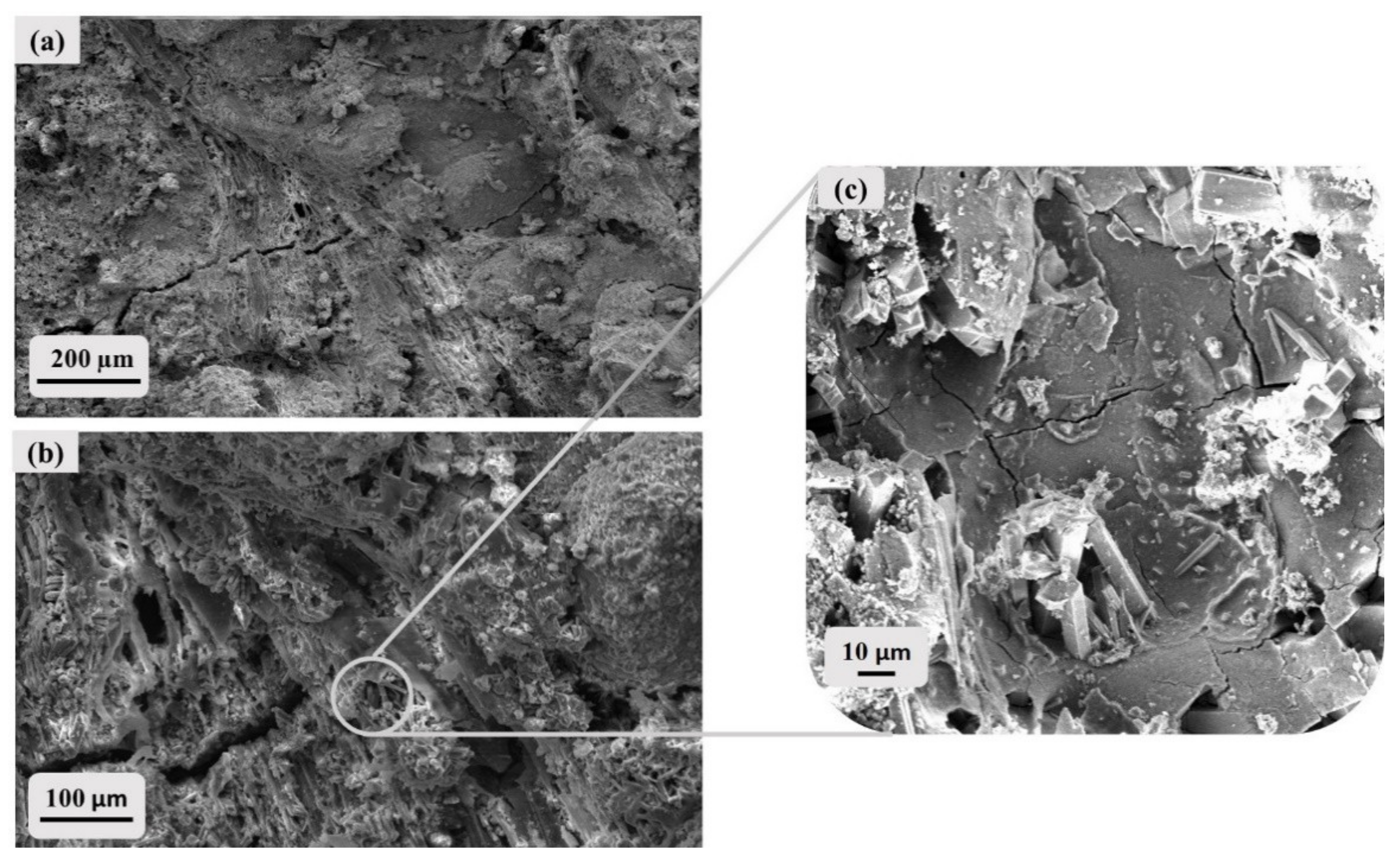Materials 14 02513 g007 Materials 14 02513 g007
