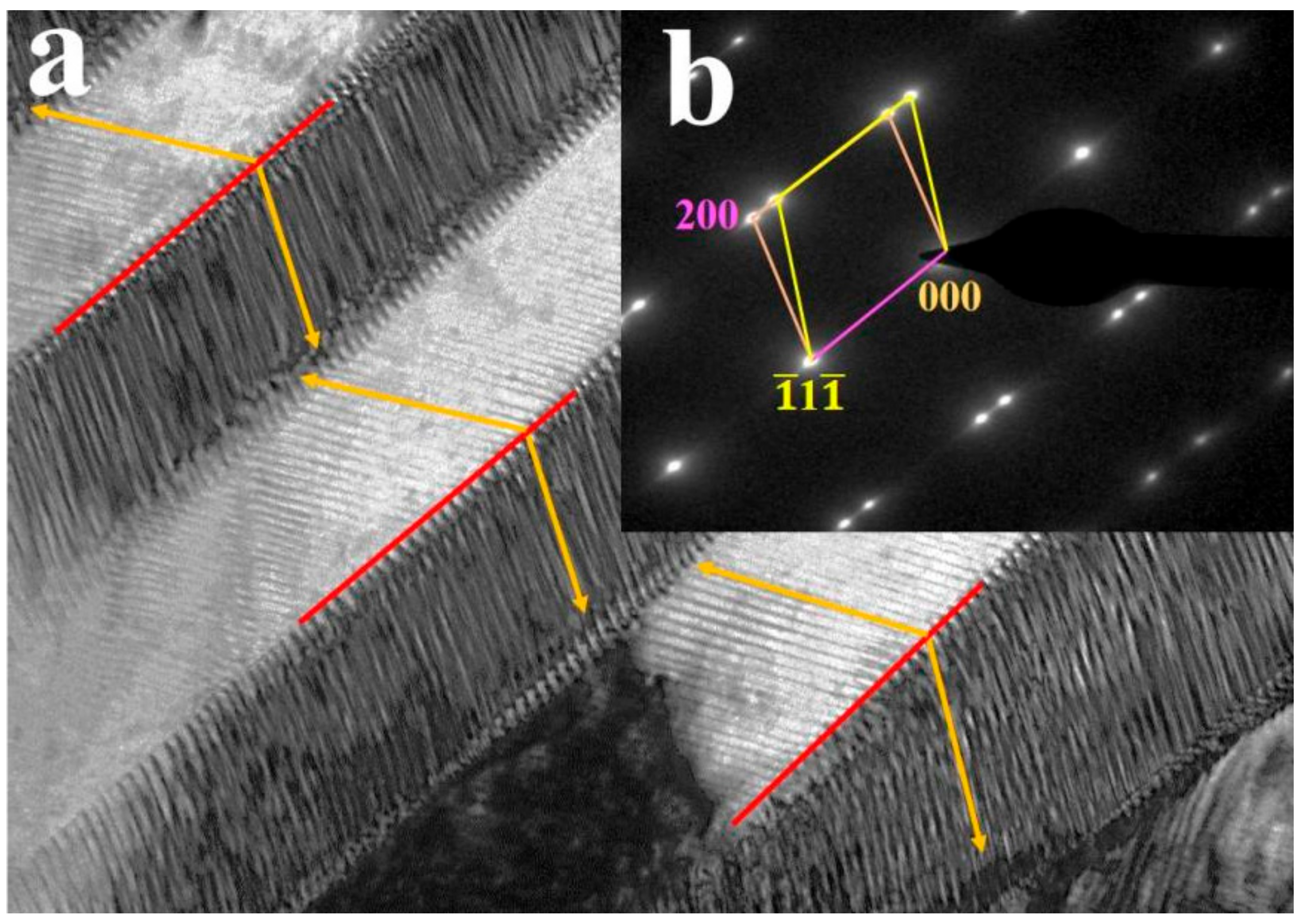 Materials 14 02514 g004