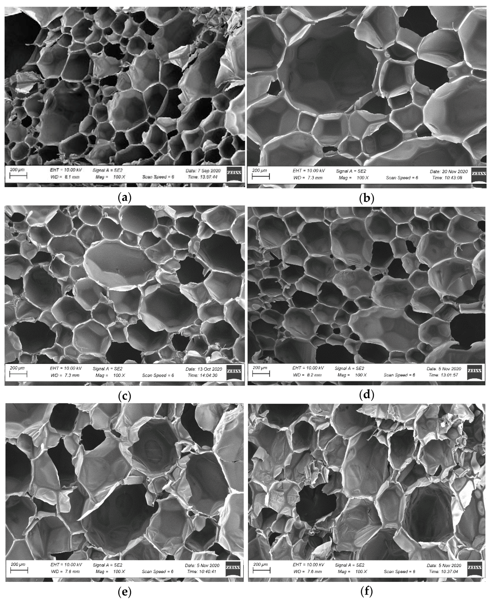 Materials 14 02527 g005