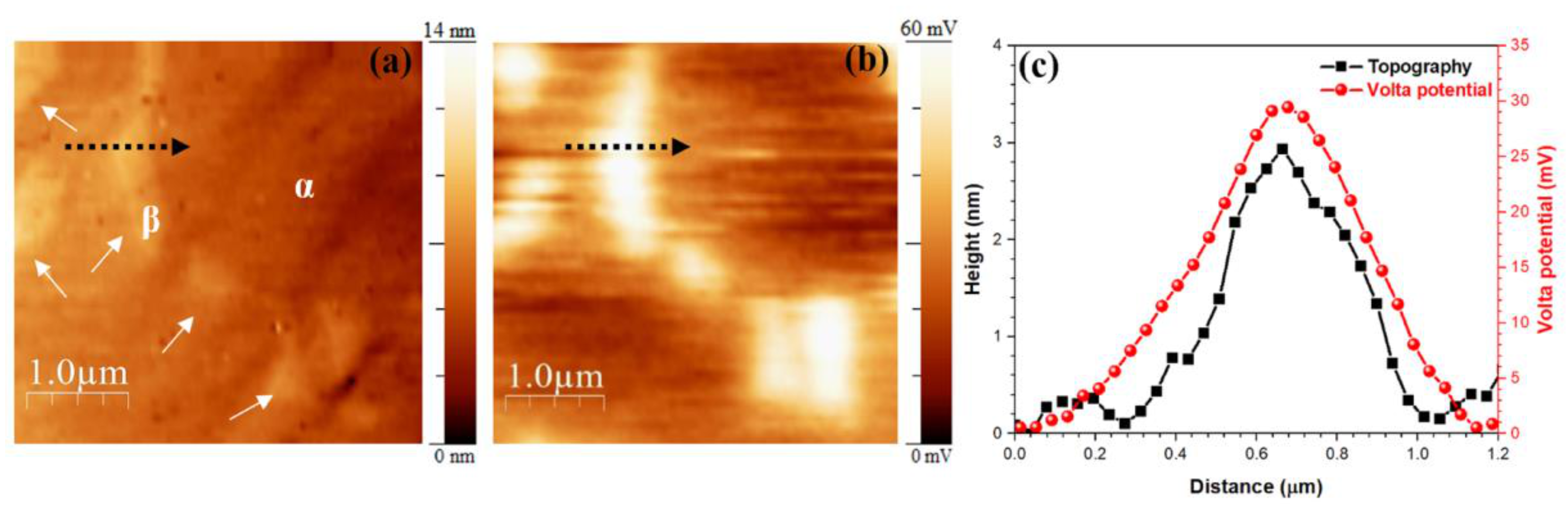 Materials 14 02540 g002 Materials 14 02540 g002