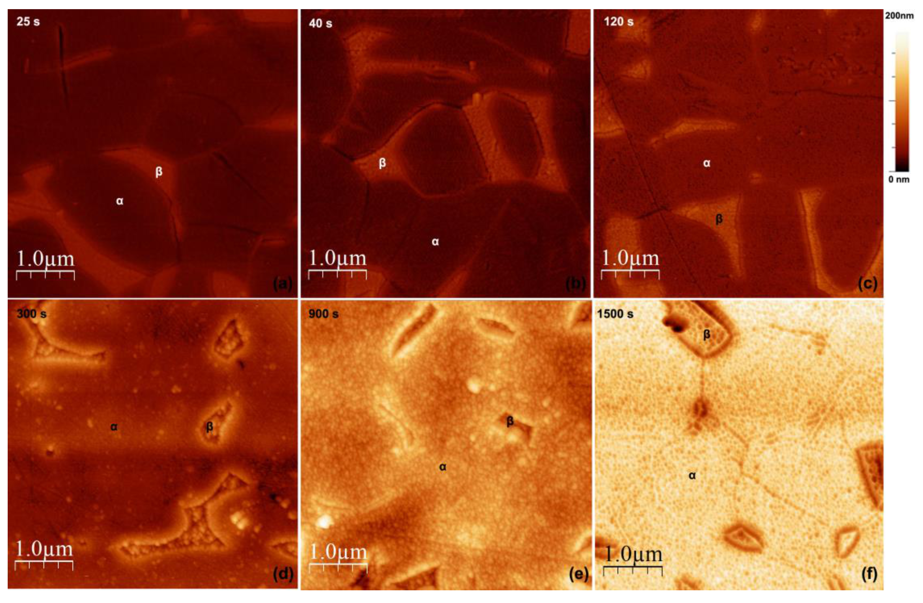 Materials 14 02540 g008 Materials 14 02540 g008