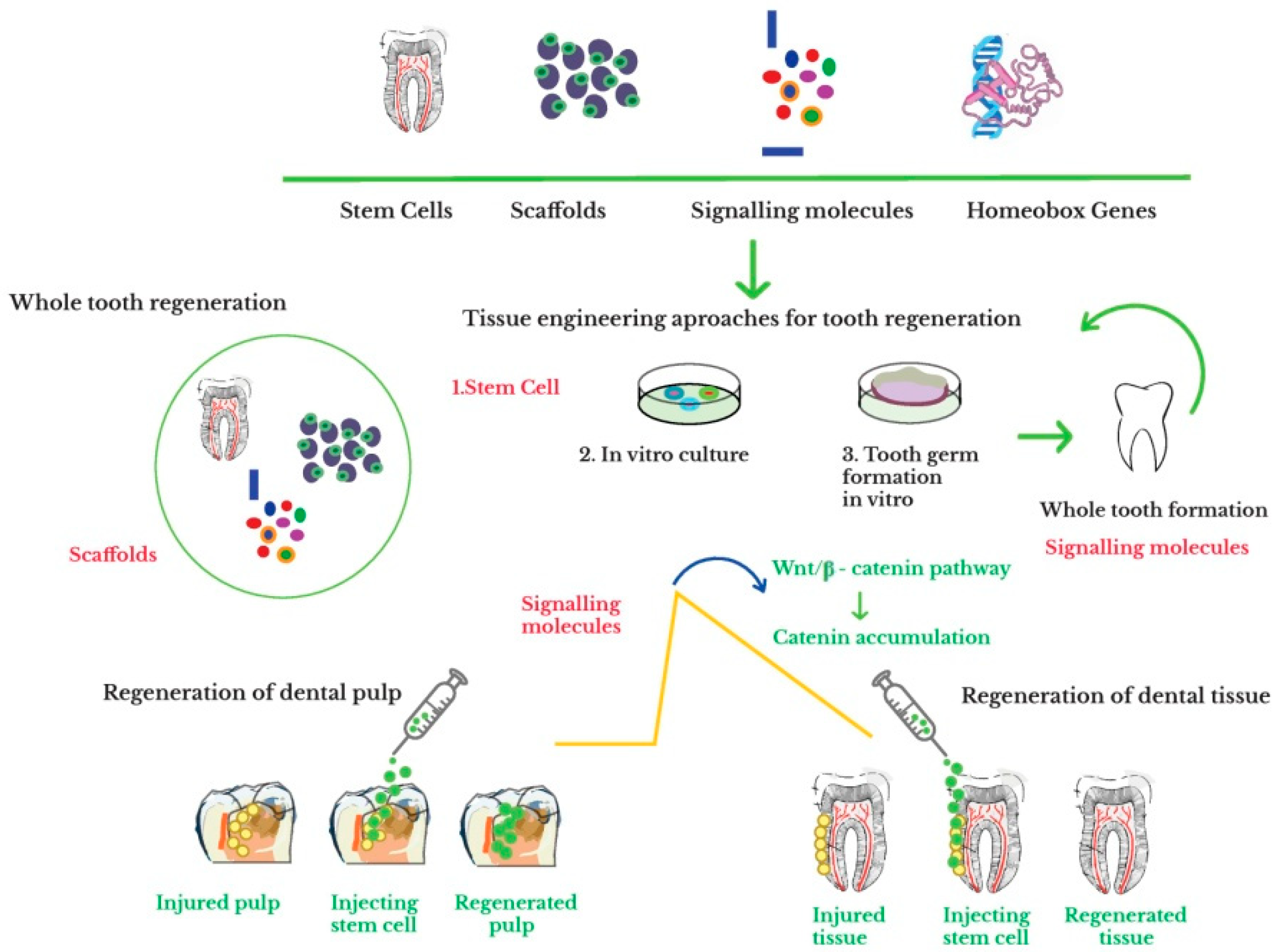 Materials 14 02558 g002 Materials 14 02558 g002