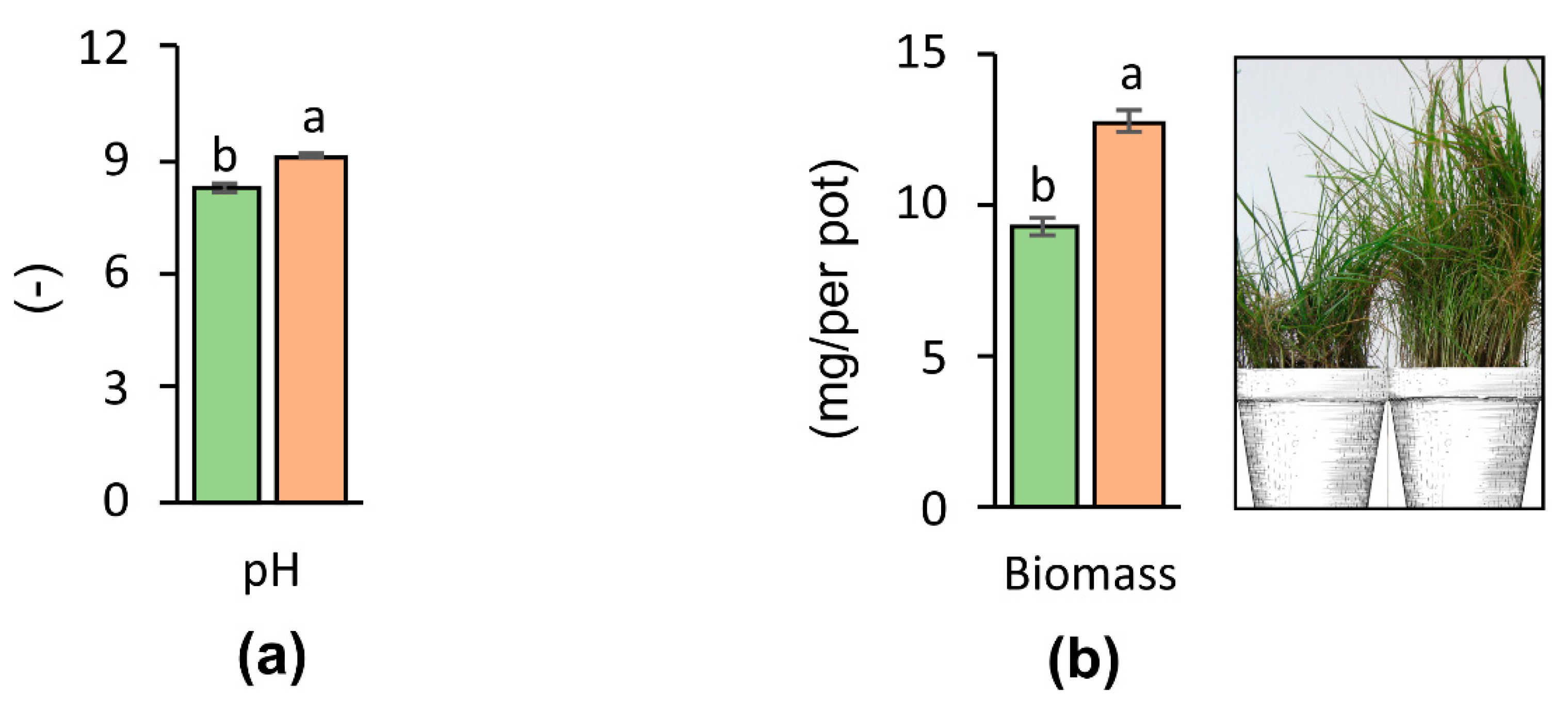 Materials 14 02559 g003 Materials 14 02559 g003