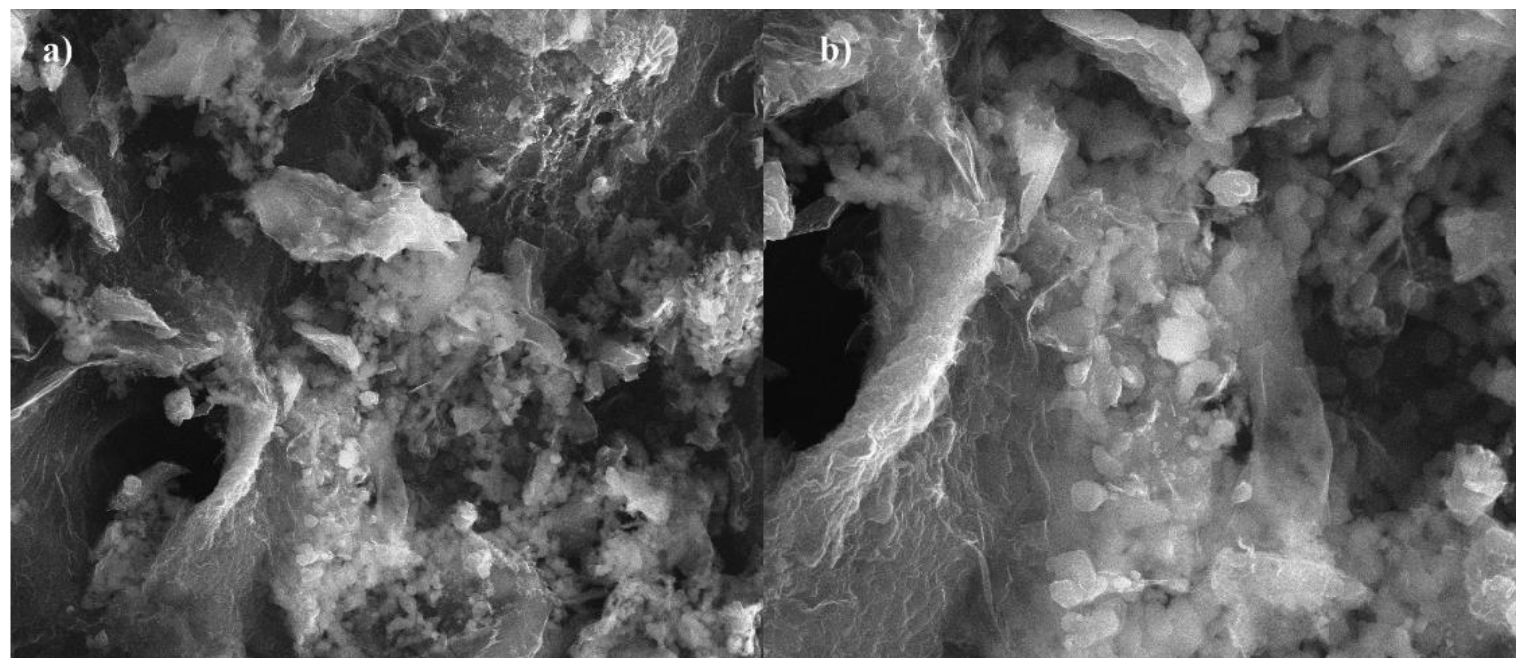 Materials 14 02566 g003