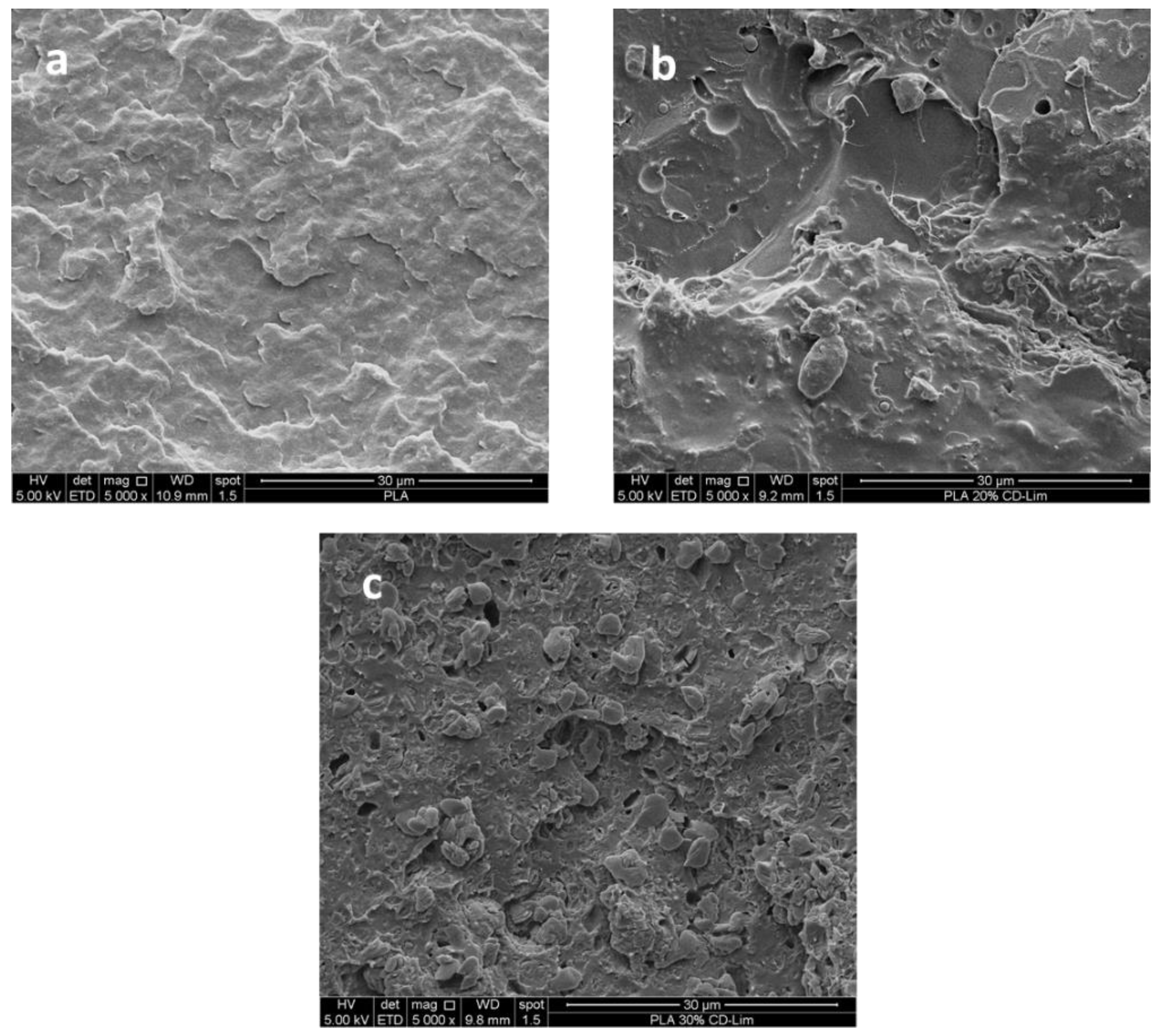 Materials 14 02569 g003