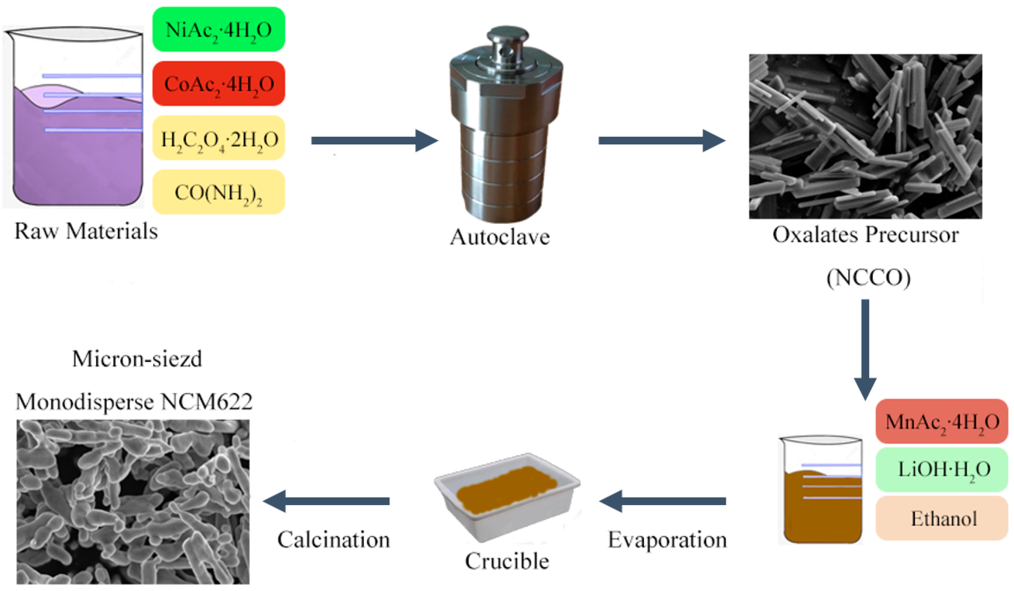 Materials 14 02576 sch001