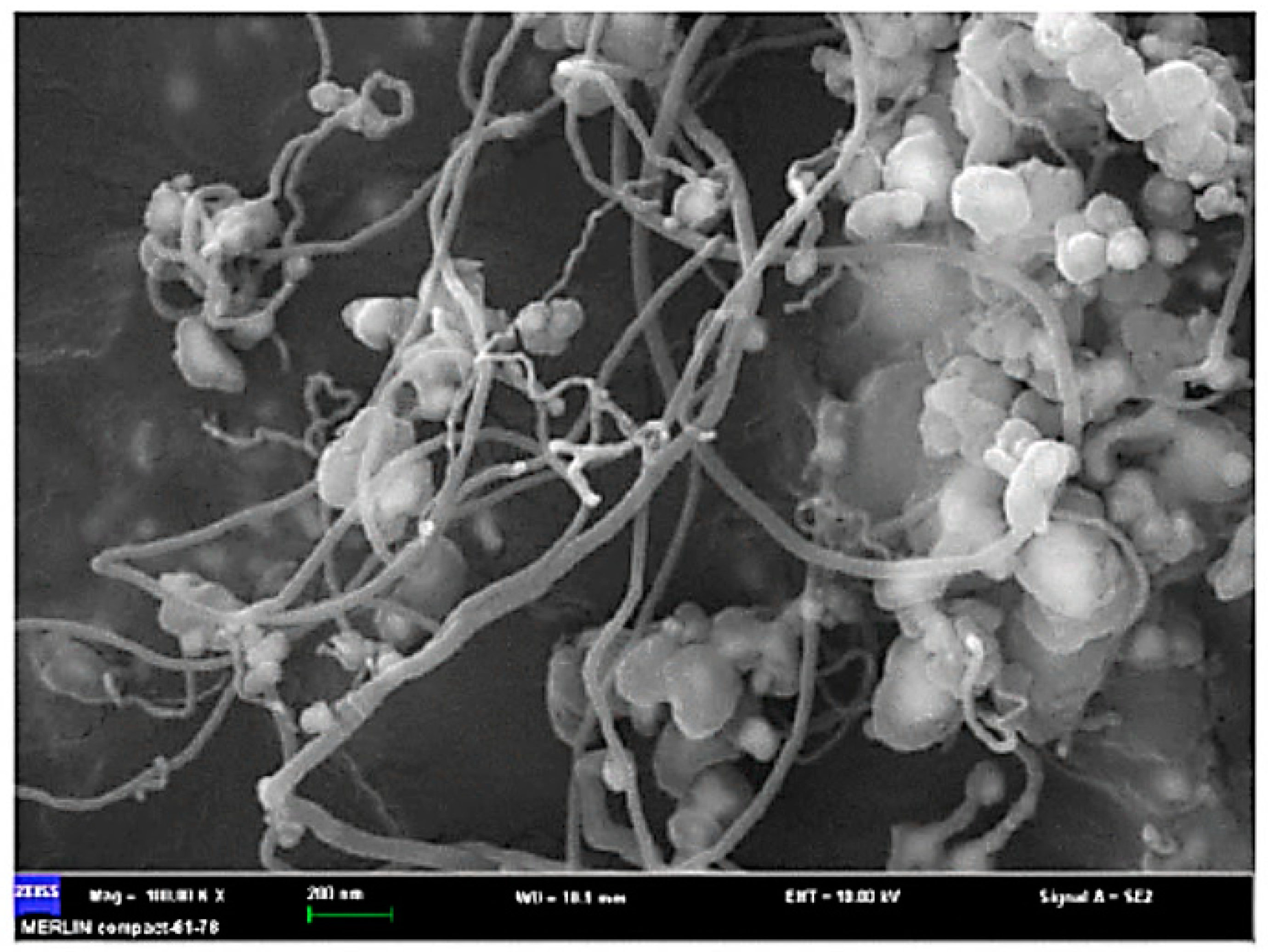 Materials 14 02586 g004