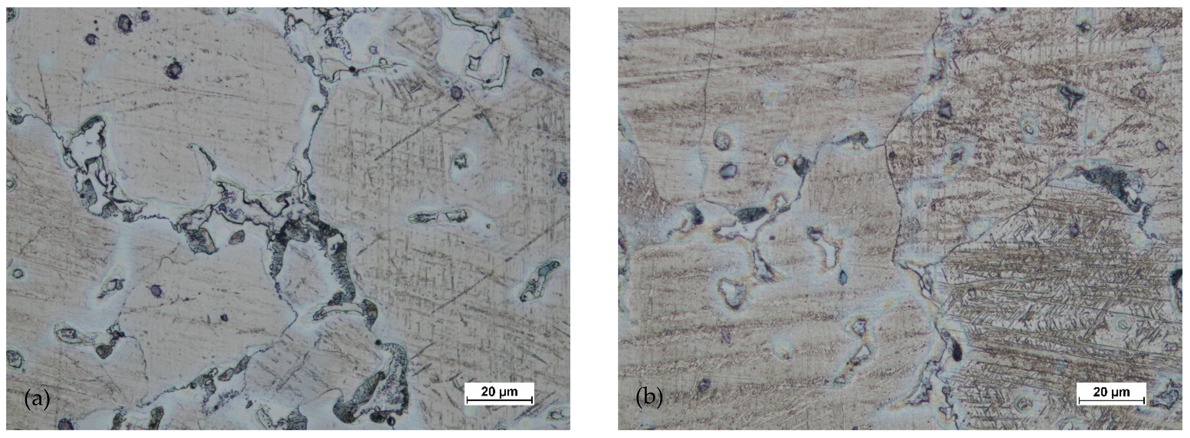 Materials 14 02593 g020