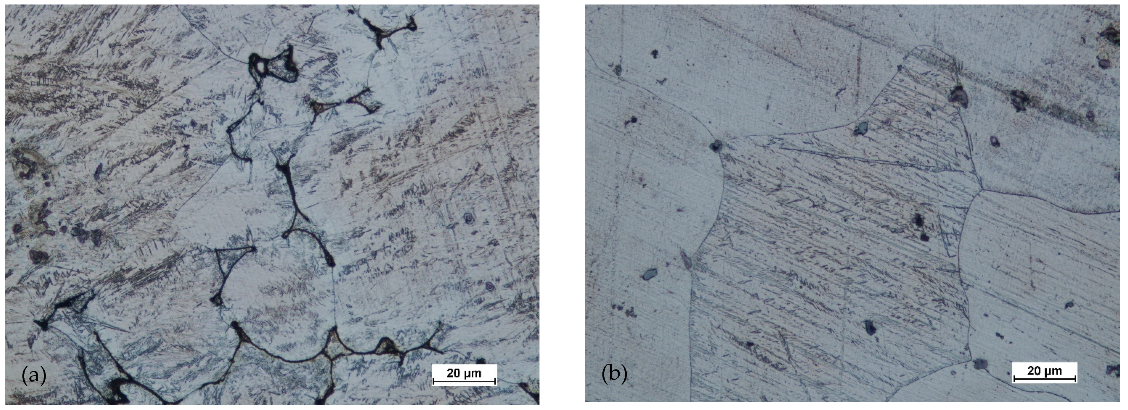 Materials 14 02593 g021