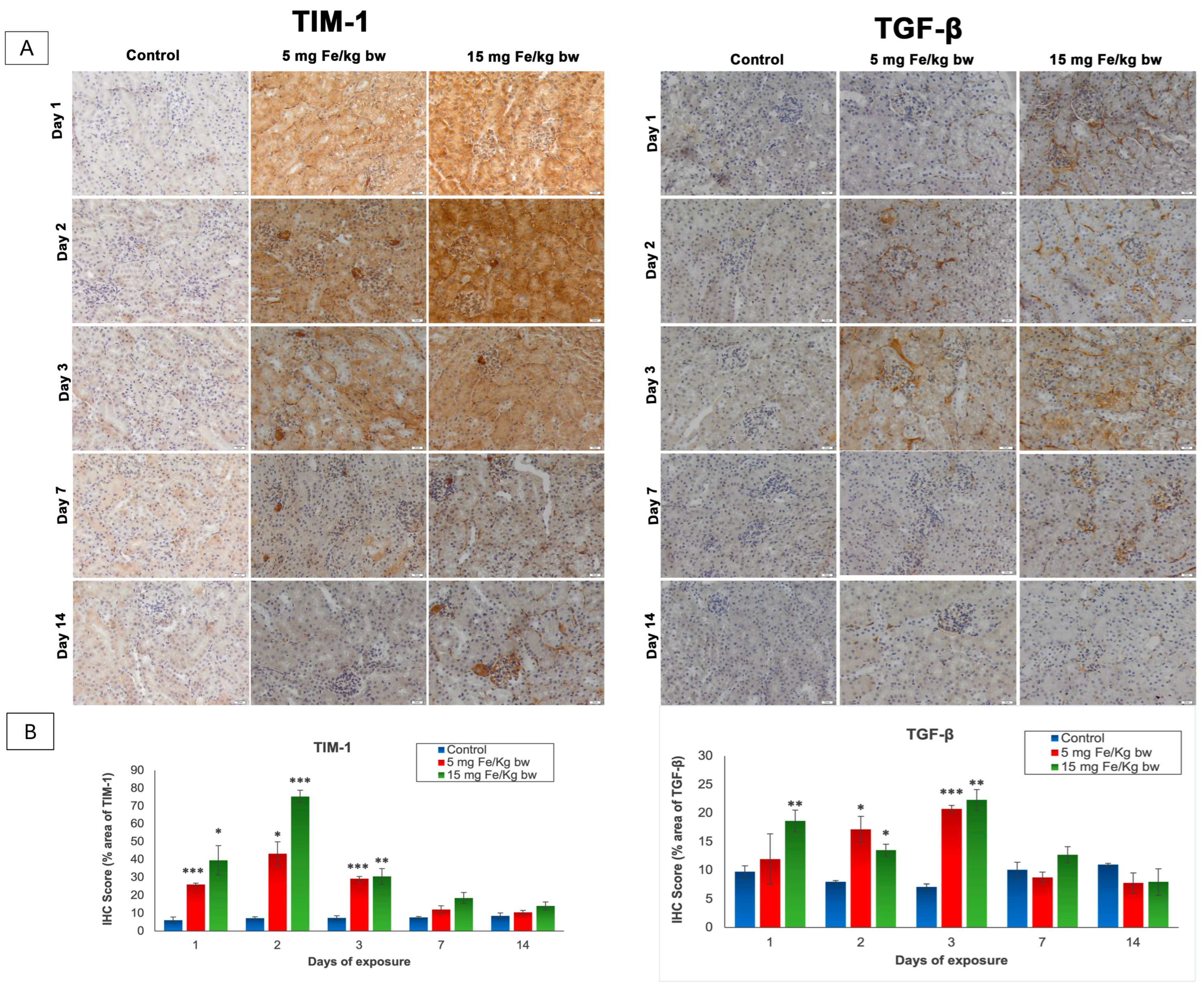 Materials 14 02605 g003 Materials 14 02605 g003